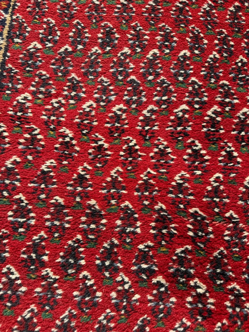Runner Indo Mir, red wool, India - 167056