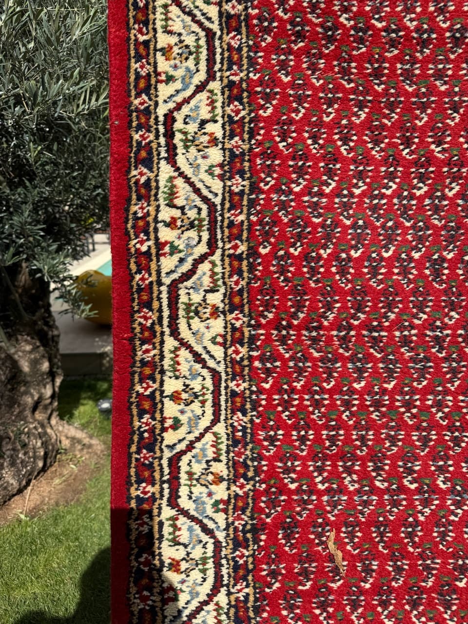 Runner Indo Mir, red wool, India - 167050