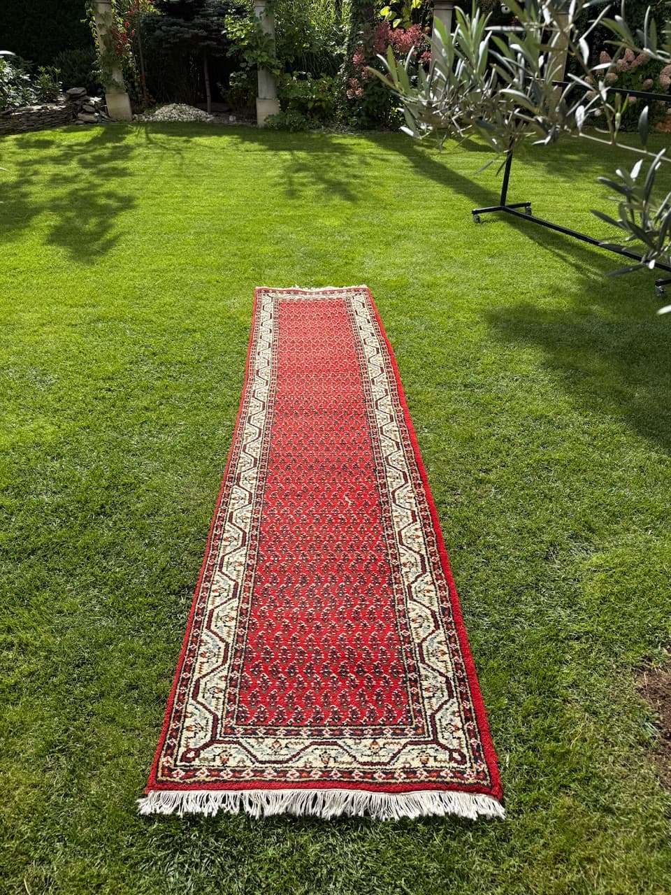 Runner Indo Mir, red wool, India - 167055
