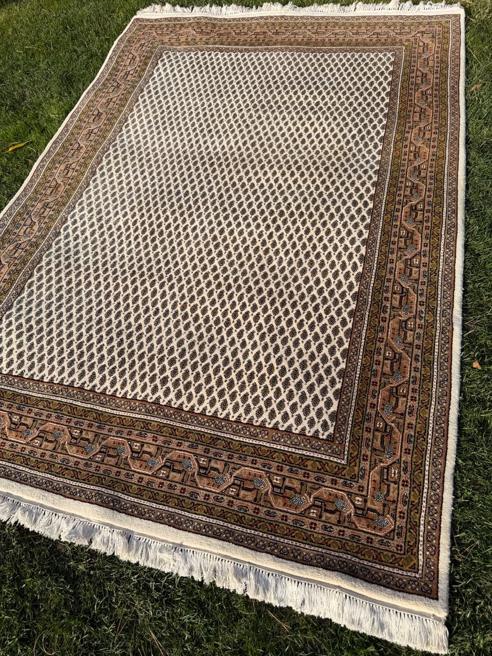 Persian Rug Indo Mir 260x165 cm, beige, wool, India - 167098