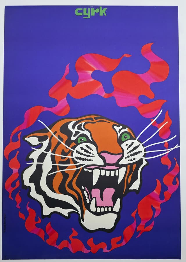 Cyrk głowa tygrysa w płomieniach (Oryginalny plakat cyrkowy), aut. T. Jodłowski, 1970 - WYMIARY