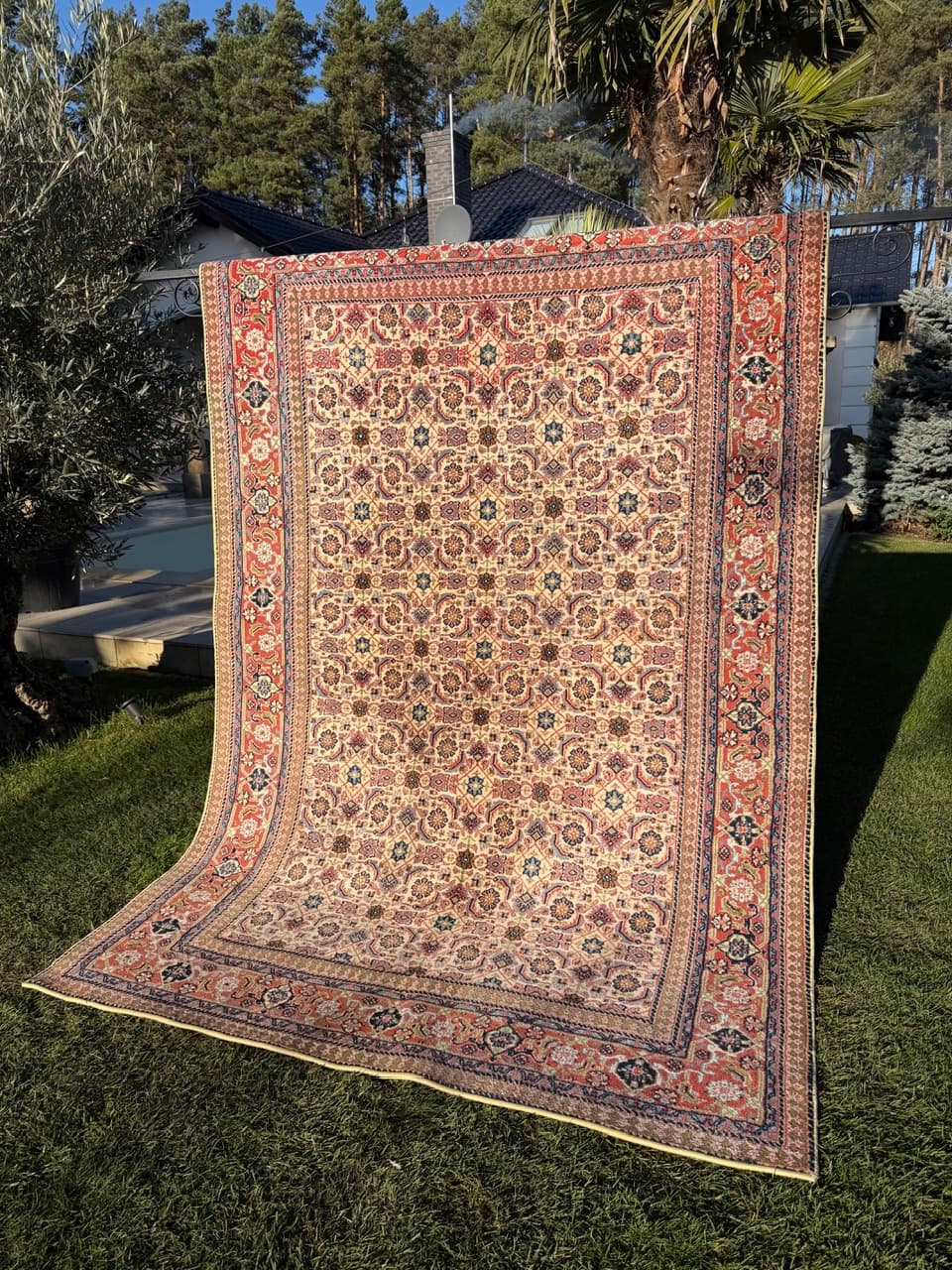 Dywan Indo Mir Herati, beżowy, wełna, Indie - 170664