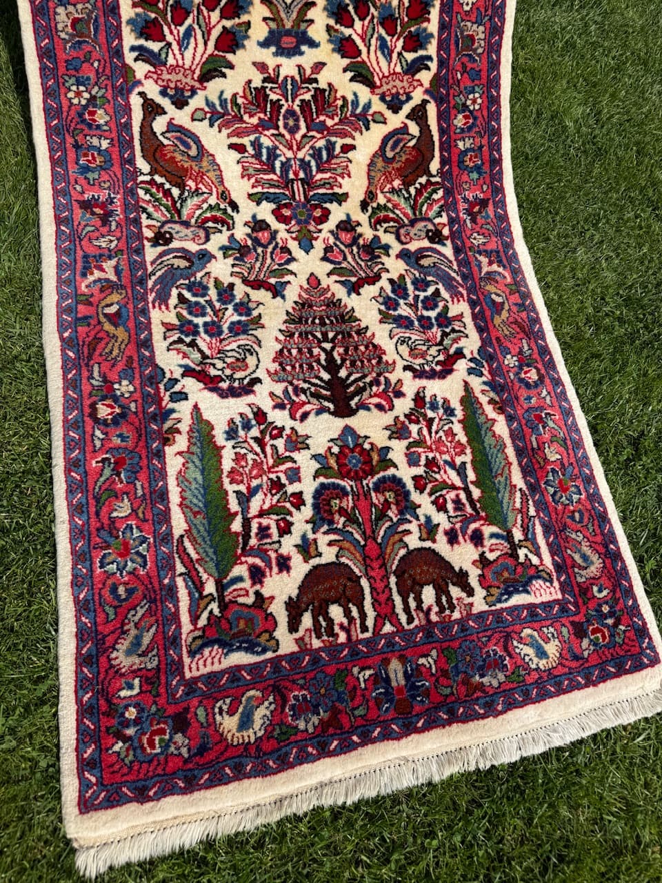 Runner Goum, ivory white wool, Iran - 171399