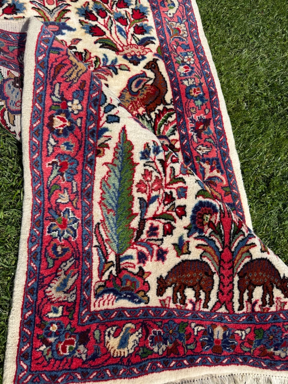 Runner Goum, ivory white wool, Iran - 171408