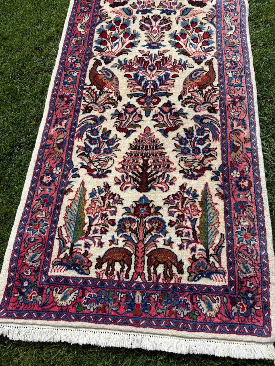 Runner Goum, ivory white wool, Iran - 171407