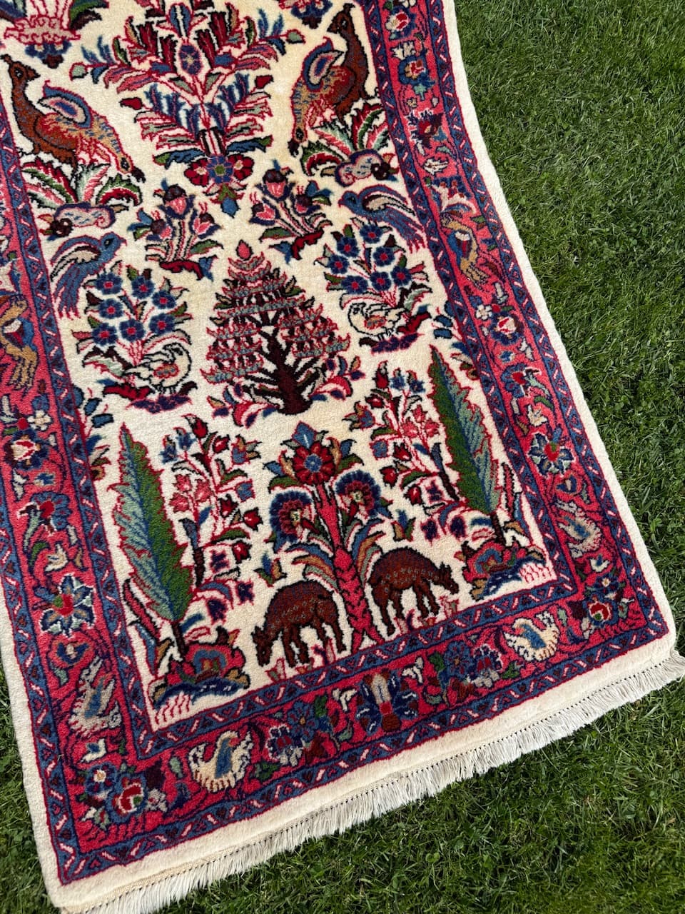 Runner Goum, ivory white wool, Iran - 171403