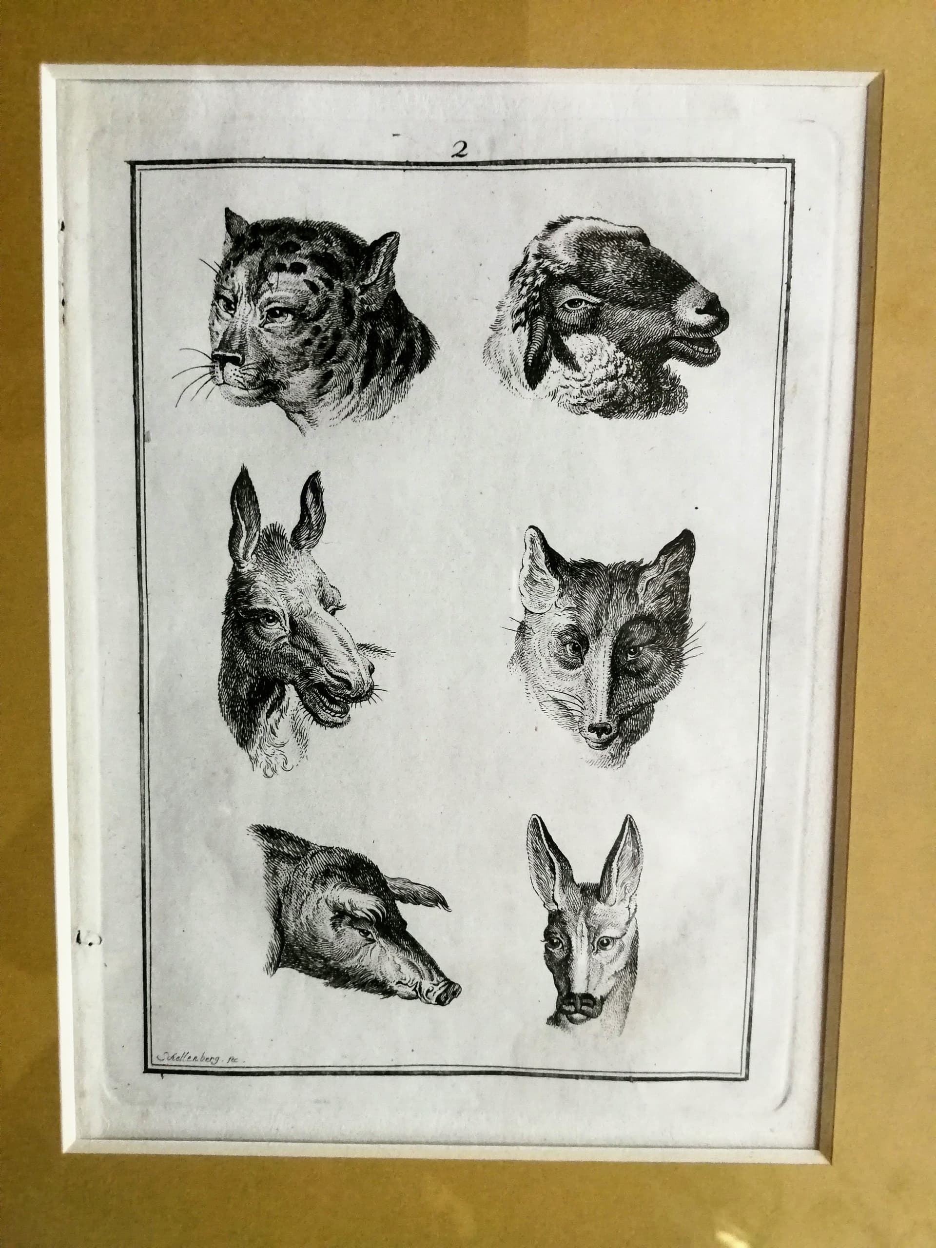 Grafika animalistyczna. Głowy zwierzęce. Sygn. Schellenberg fec. XIX wiek - 178524