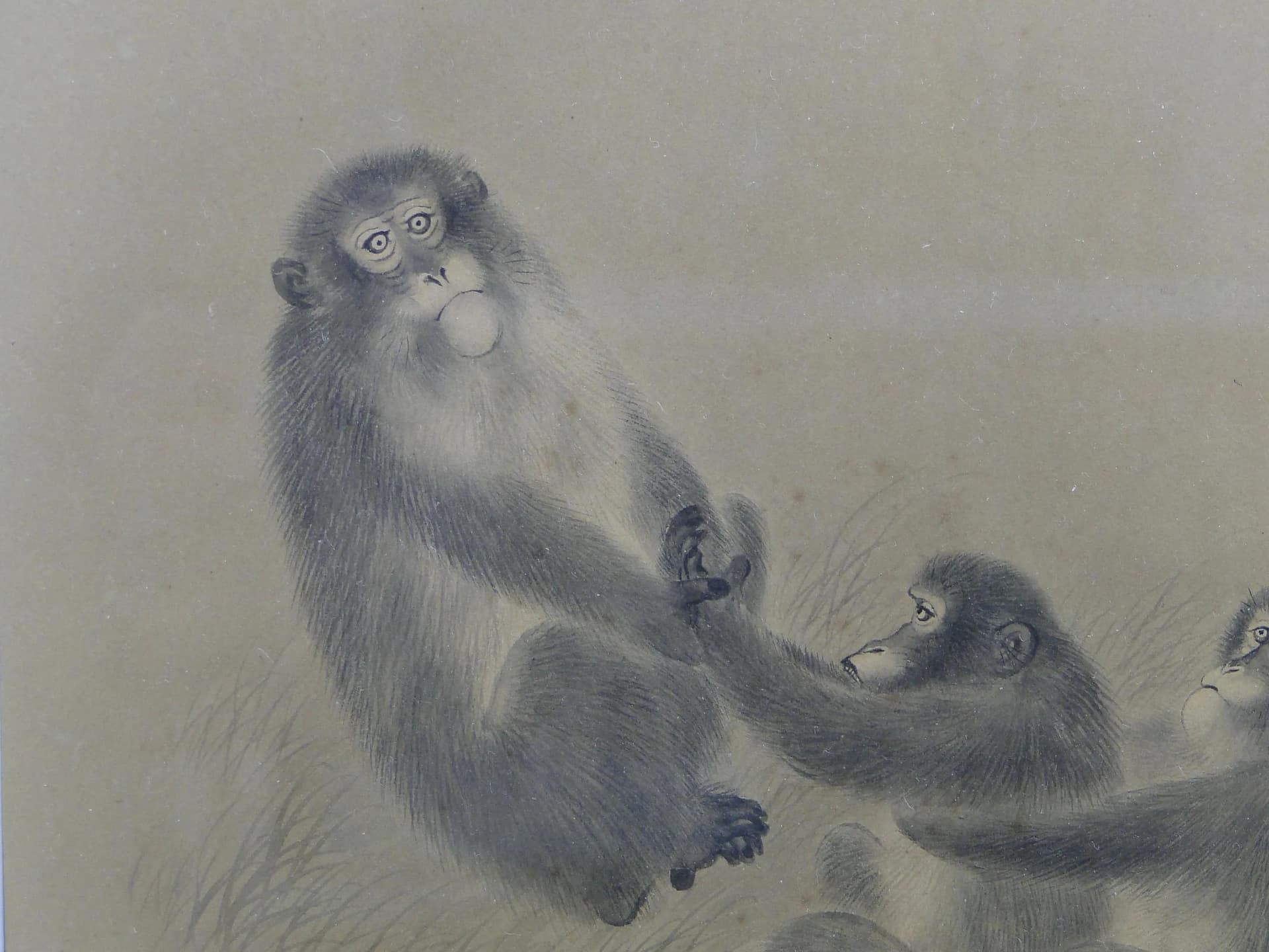 Watercolor, monkeys scene, beige, paper, Japan, early 20th c. - 12508