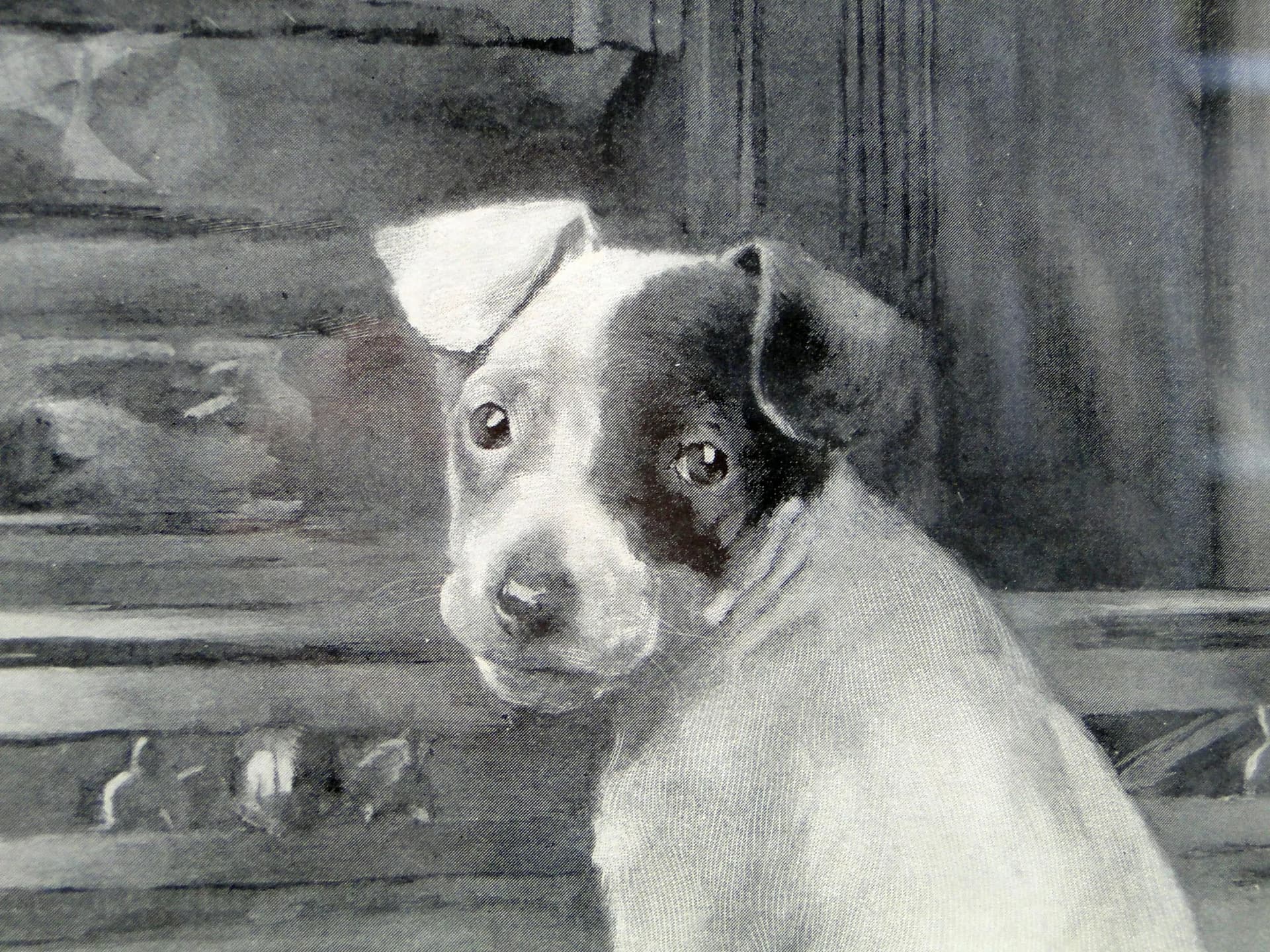 Grafika Cinderalla, szary, papier, aut. N. Flower, Wielka Brytania, pocz. XX w. - 12480