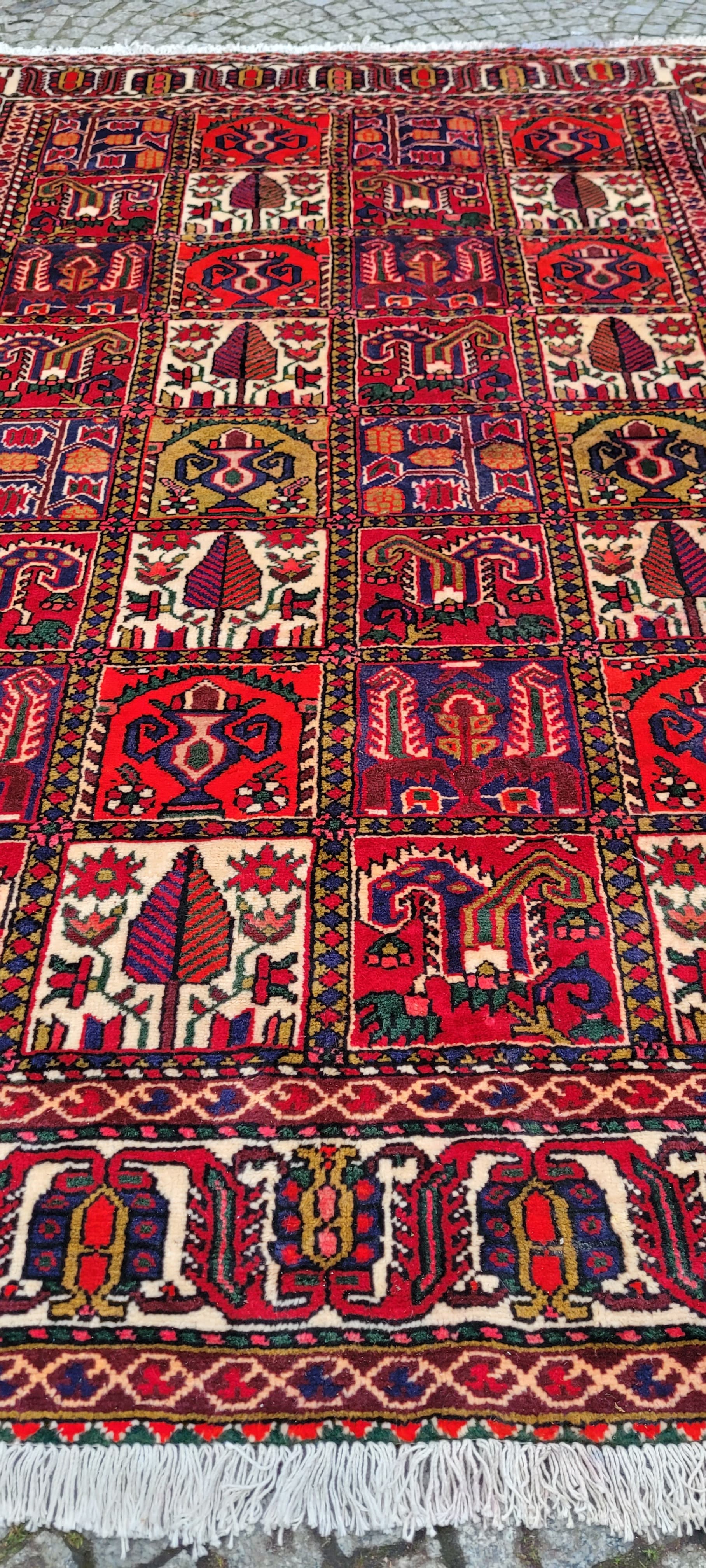 Dywan perski Baktjar 205x310 cm, czerwony, wełna, Iran - 179811