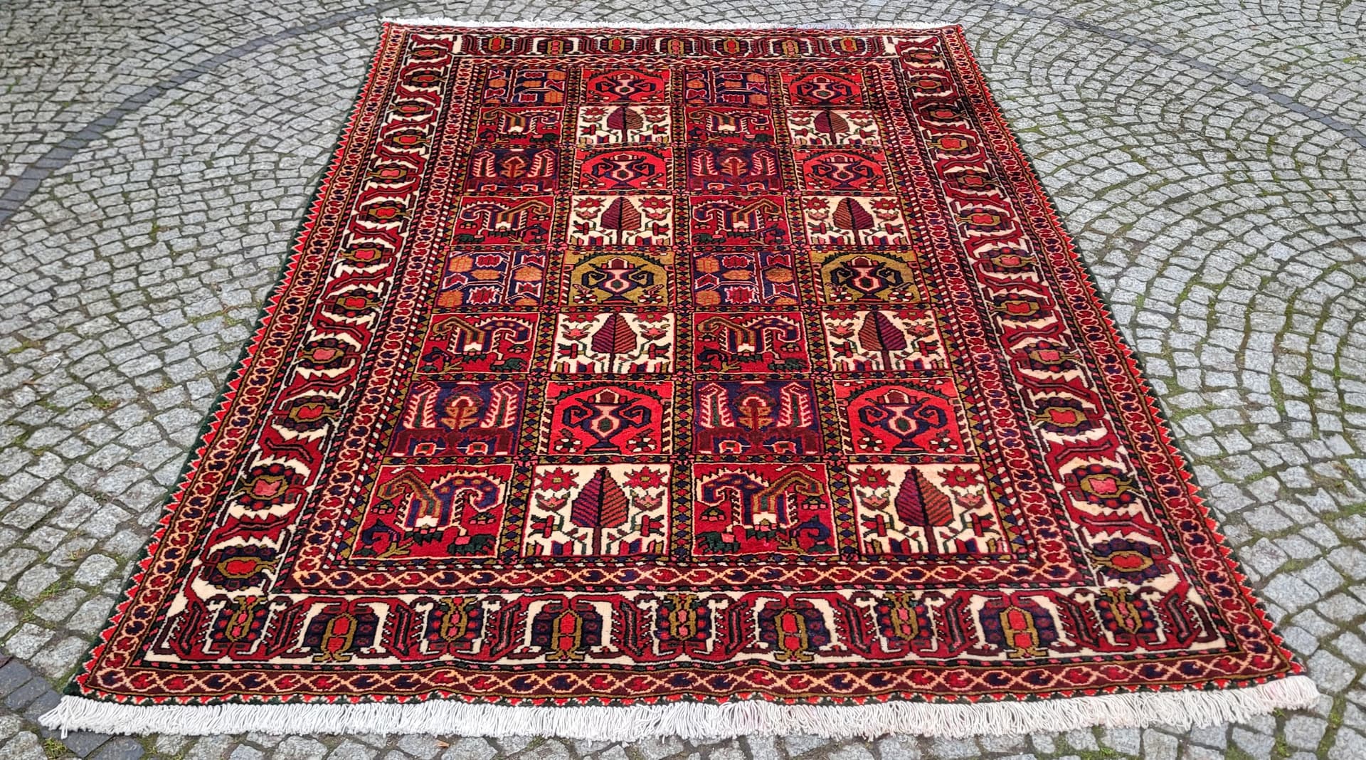 Dywan perski Baktjar 205x310 cm, czerwony, wełna, Iran - 179807