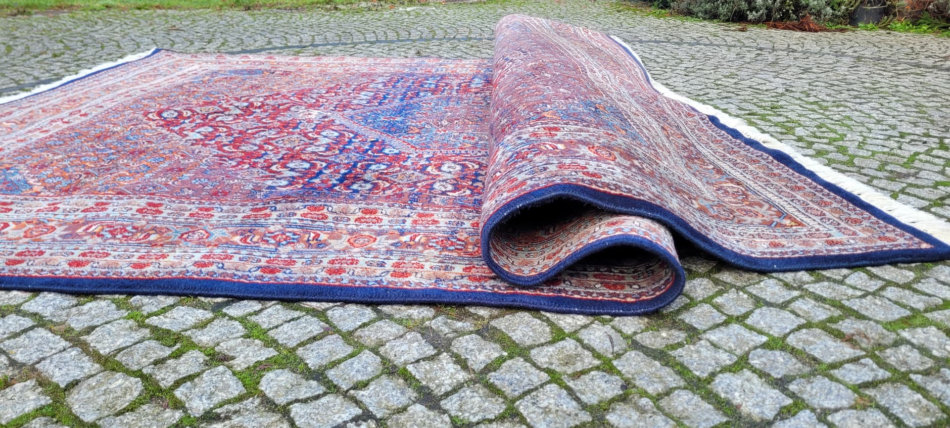 Rug Bidjar 220x330cm, red, wool, India, early 20th c. - 180518