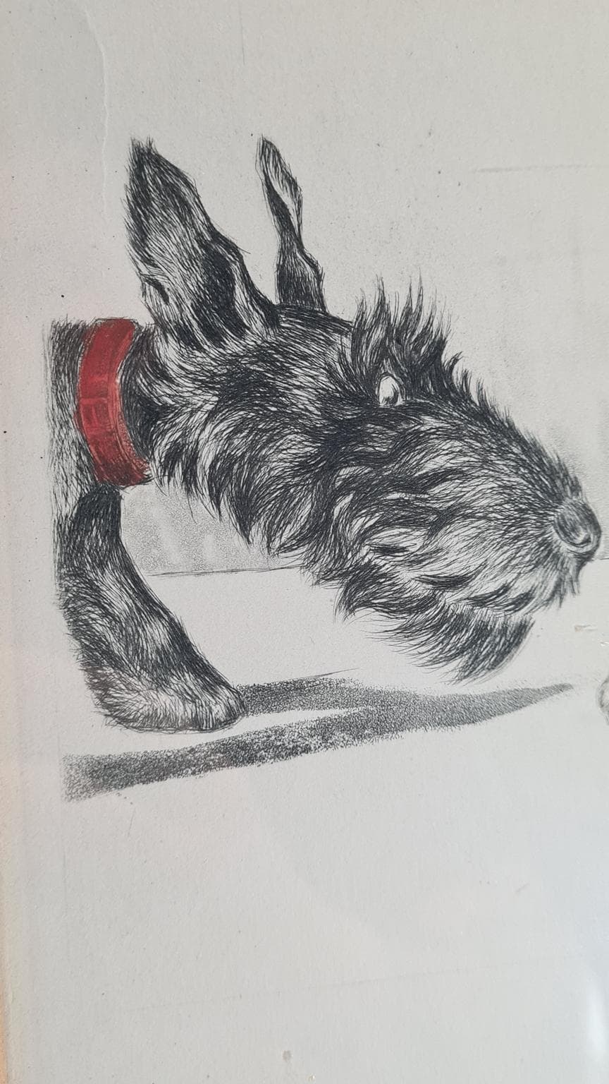 Litografia, multikolor, proj. B. O’Klein, Francja, lata 50. - 182922