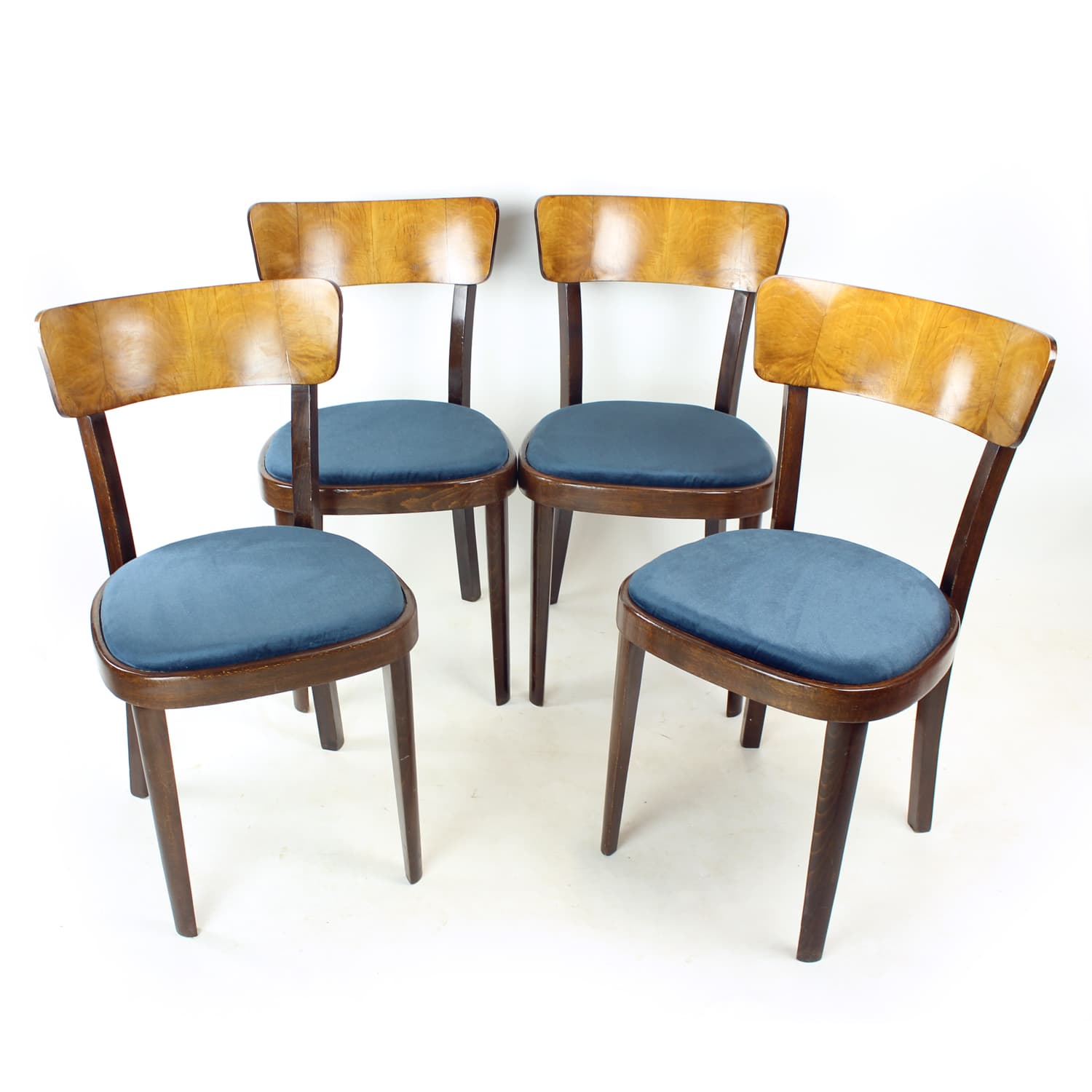 Zestaw czterech krzeseł, navy blue velvet, dąb, orzech, Tatra Nabytok, Czechosłowacja, lata 50. - 185020