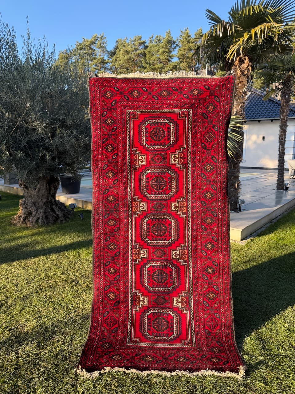 Rug Beluch 230x105 cm, red wool, Iran, 1980s. - 190058