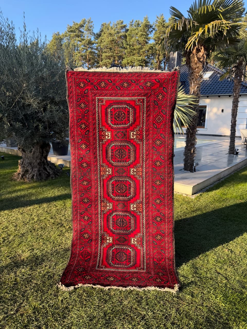 Rug Beluch 230x105 cm, red wool, Iran, 1980s. - 190059