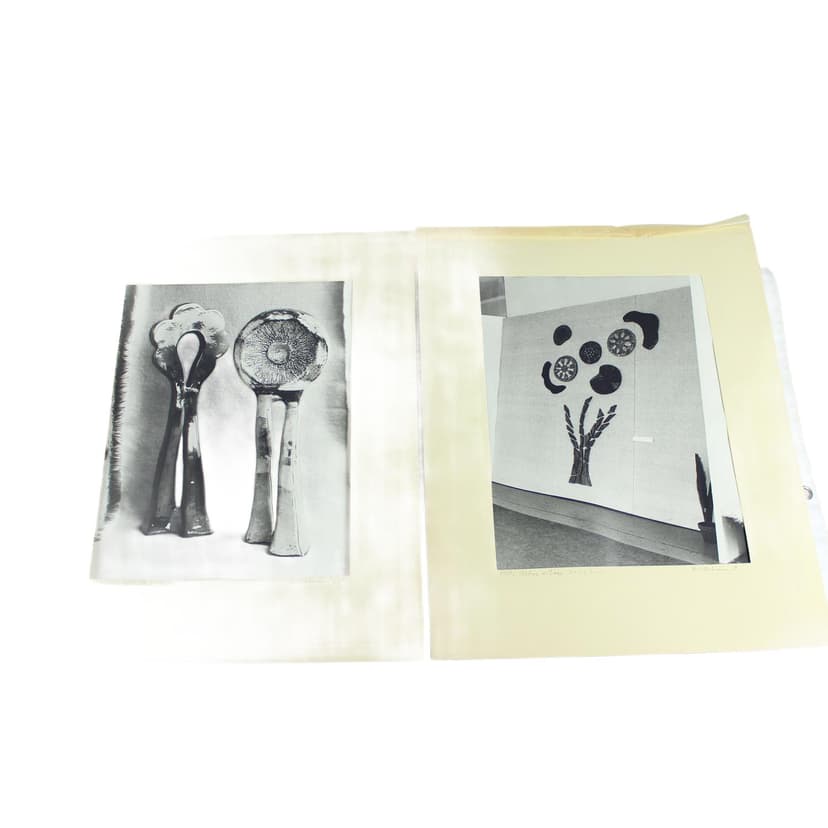 Zestaw dwóch fotografii, Ivory White, D. Abrahámová, Czechosłowacja, lata 80.