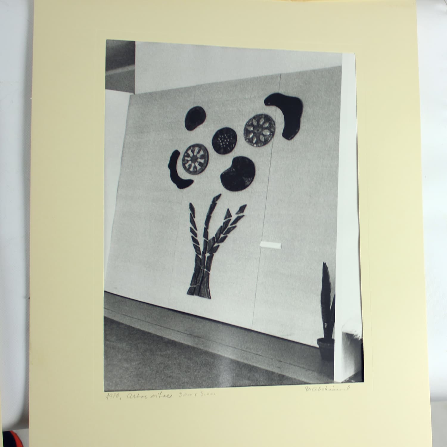 Zestaw dwóch fotografii, Ivory White, D. Abrahámová, Czechosłowacja, lata 80. - 191841