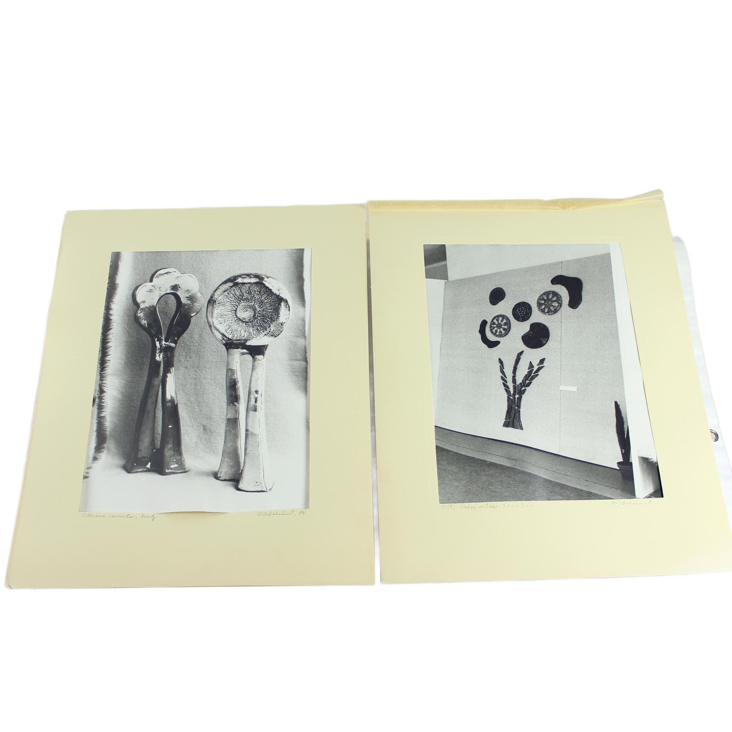 Zestaw dwóch fotografii, Ivory White, D. Abrahámová, Czechosłowacja, lata 80. - 192750