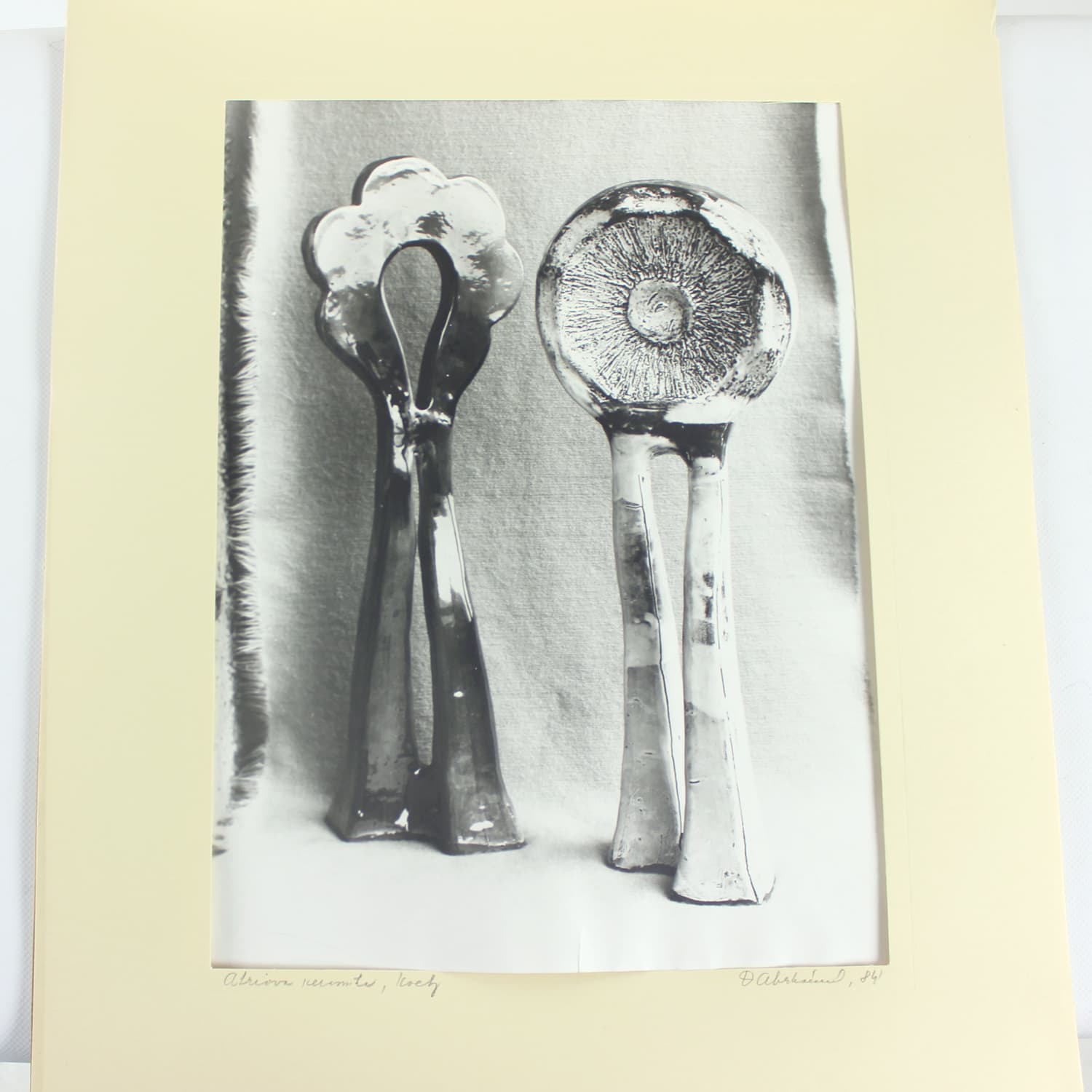 Zestaw dwóch fotografii, Ivory White, D. Abrahámová, Czechosłowacja, lata 80. - 191838