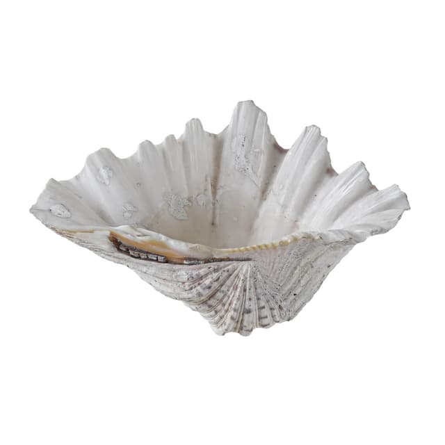 Decorative Triton Shell, ivory white, 1980s. - DIMENSION