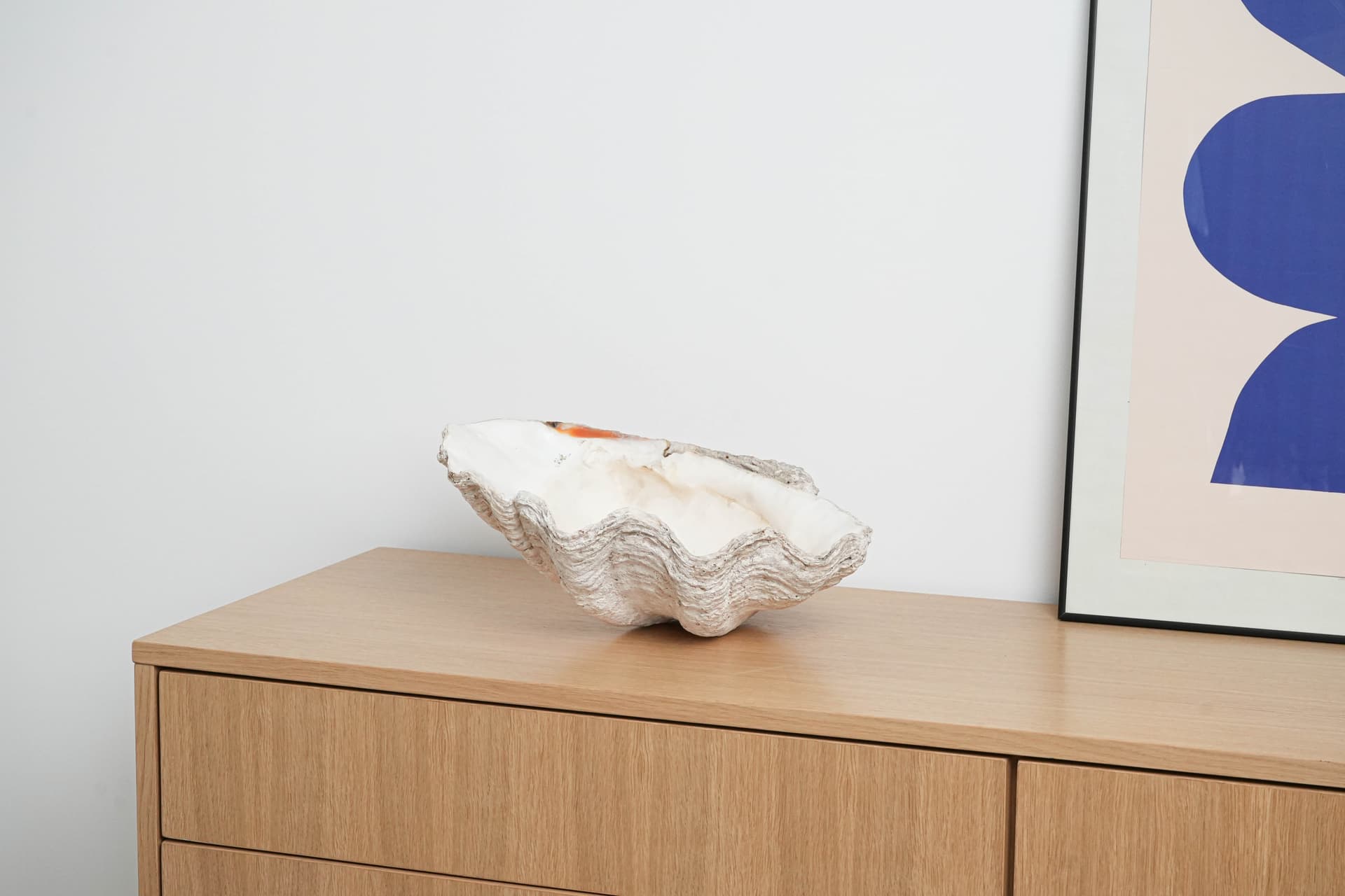 Decorative Tridacna Shell, Grey, Italy, 1980s. - 195461