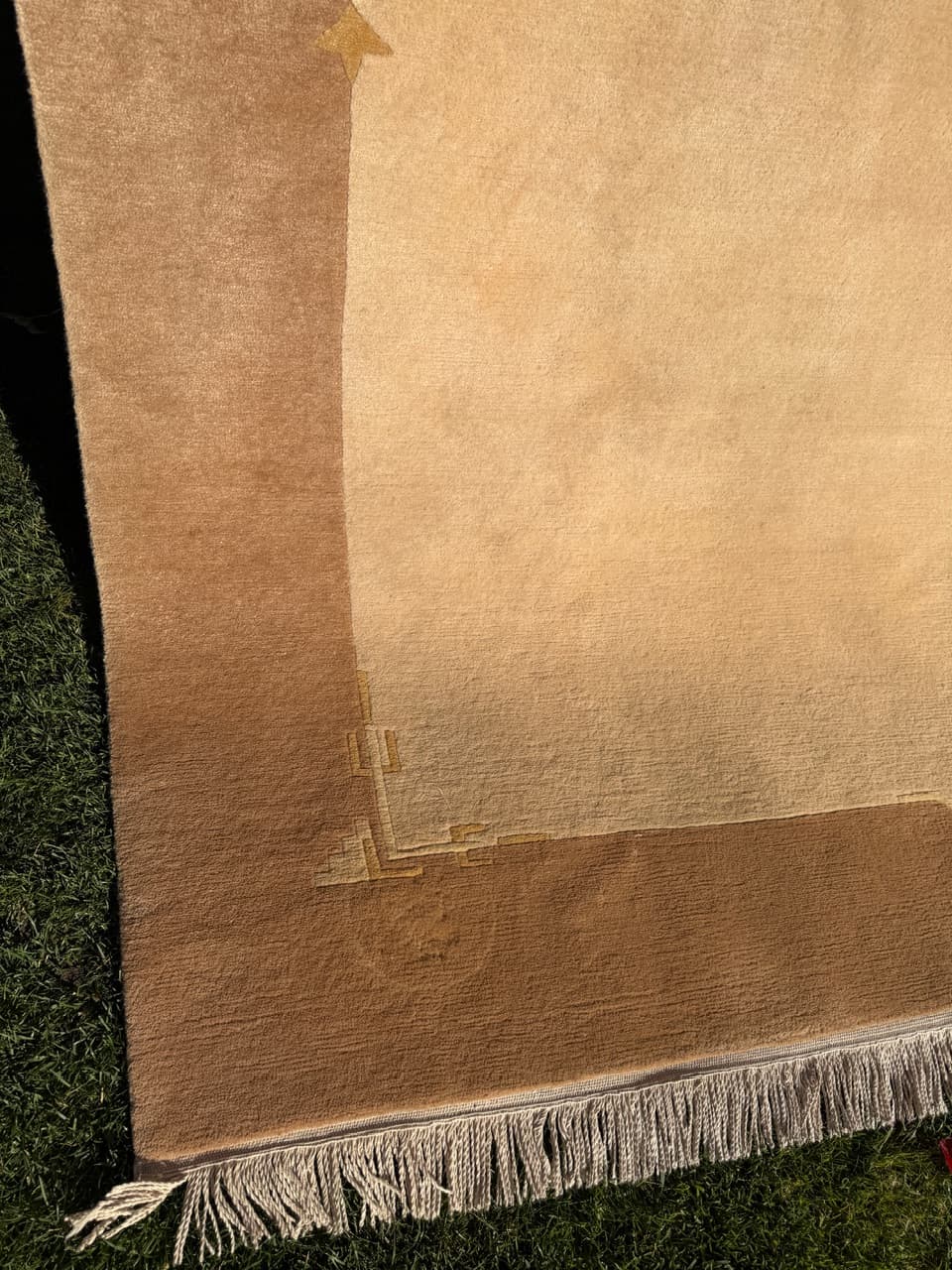 Dywan Art Deco 300x250 cm, beżowy, wełna, Nepal - 195671