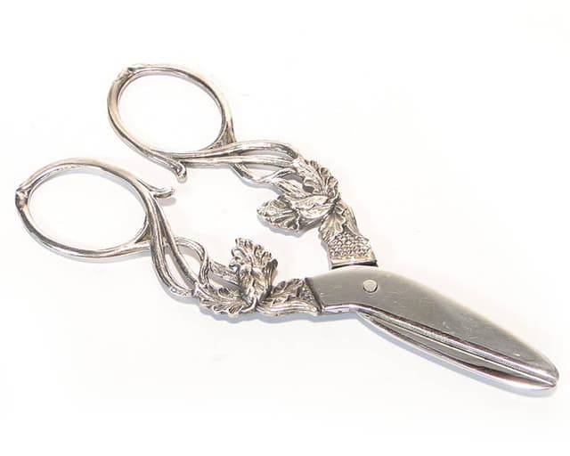 Grape scissors, silver, steel, Denmark, 1960s. - DIMENSION