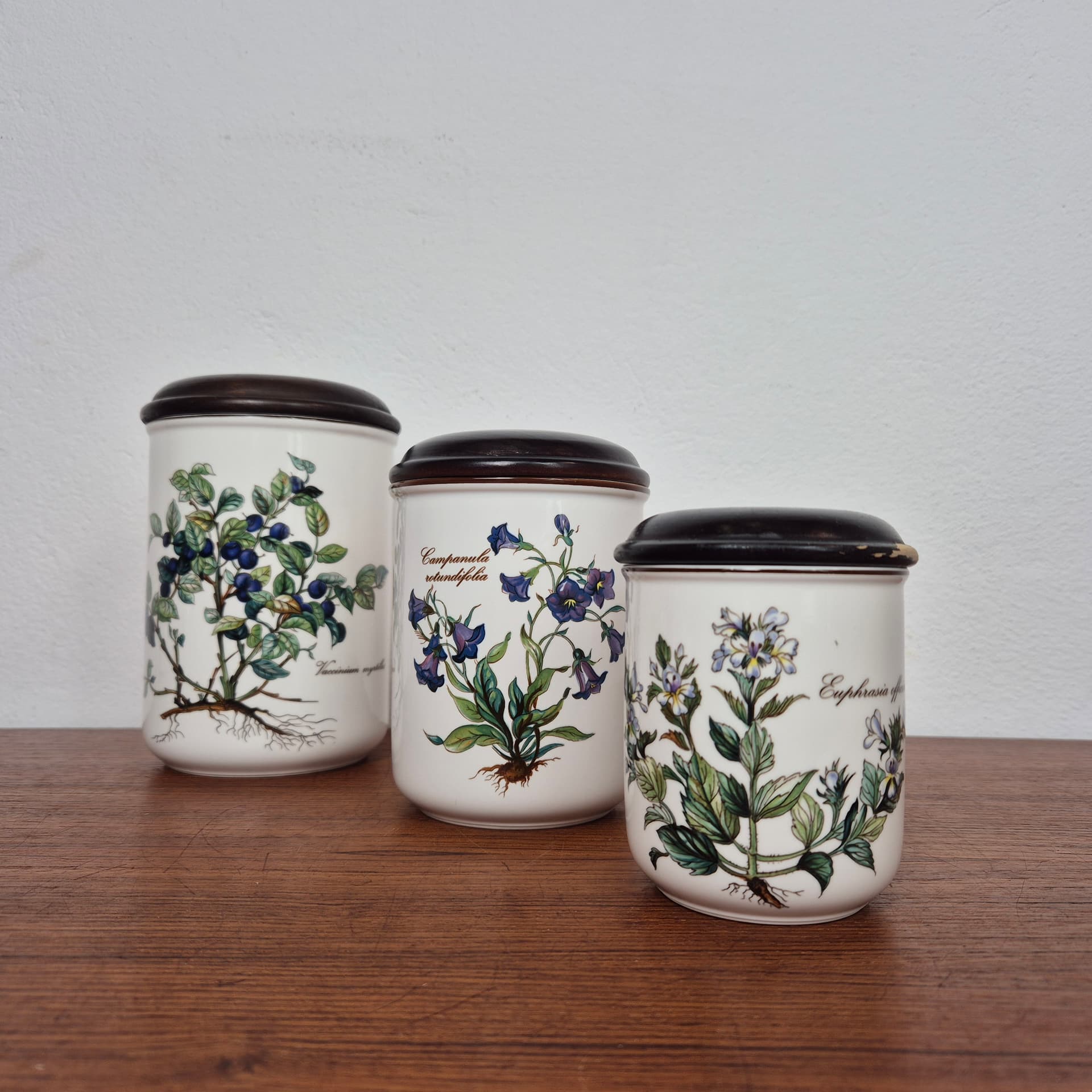 Komplet pojemników Botanica, ceramika kość słoniowa, Villeroy & Boch, lata 60. - 196931