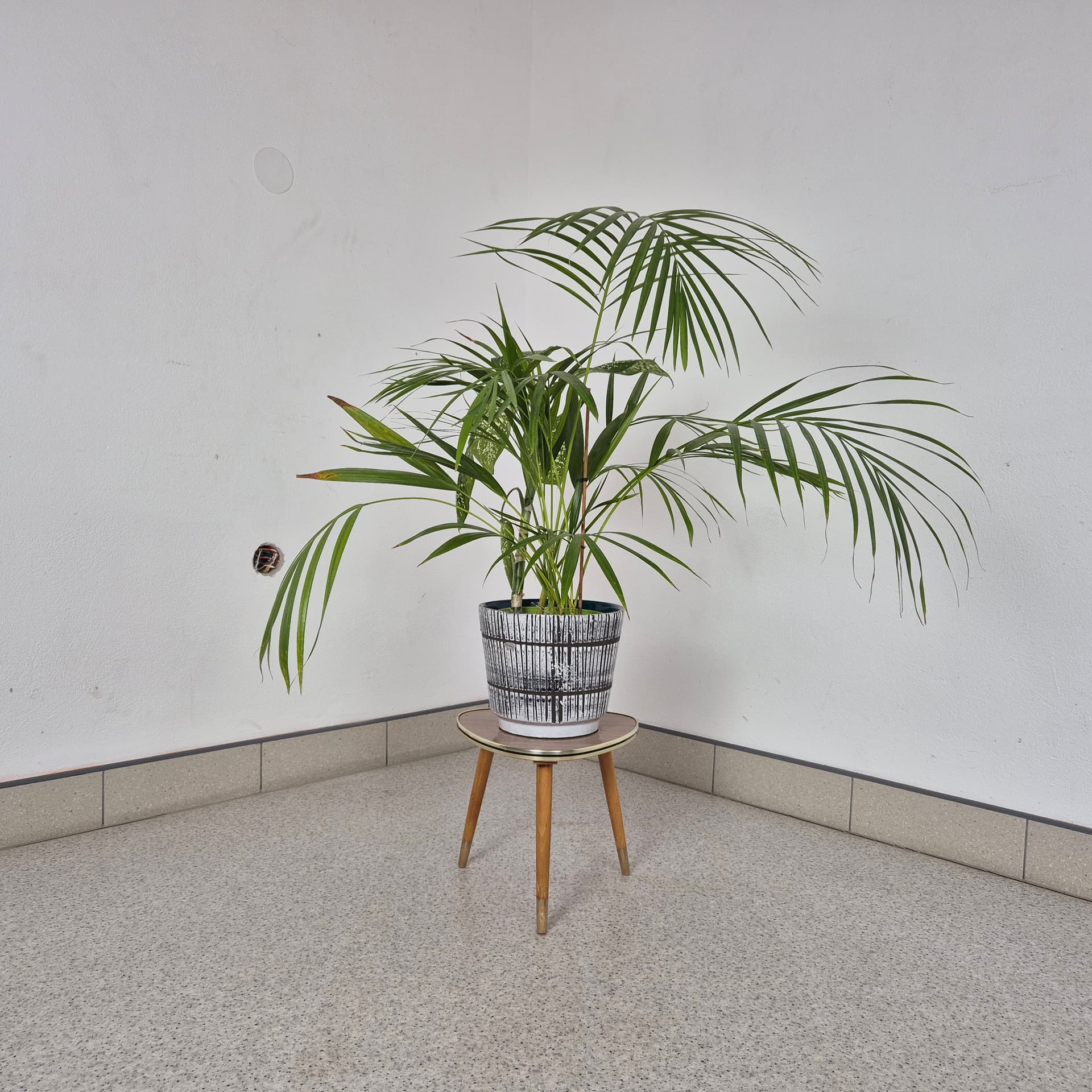 Kwietnik Rockabilly, brązowy jasny, Niemcy, lata 60. - 197903