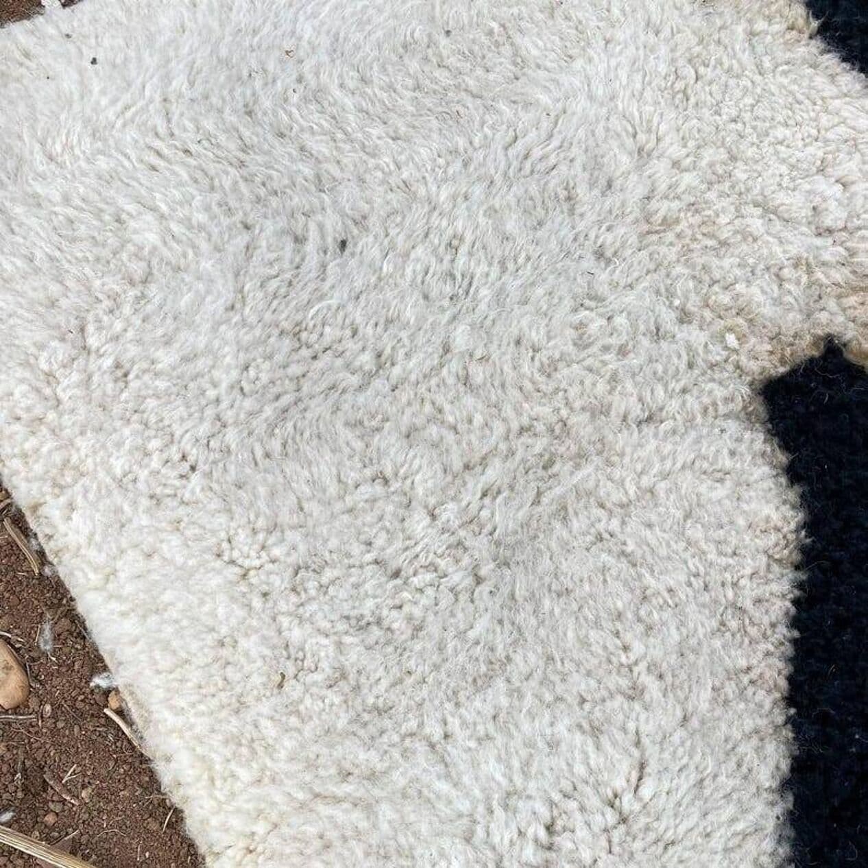 Handwoven rug 150x260 cm, wool, black, white, Morocco - 200302