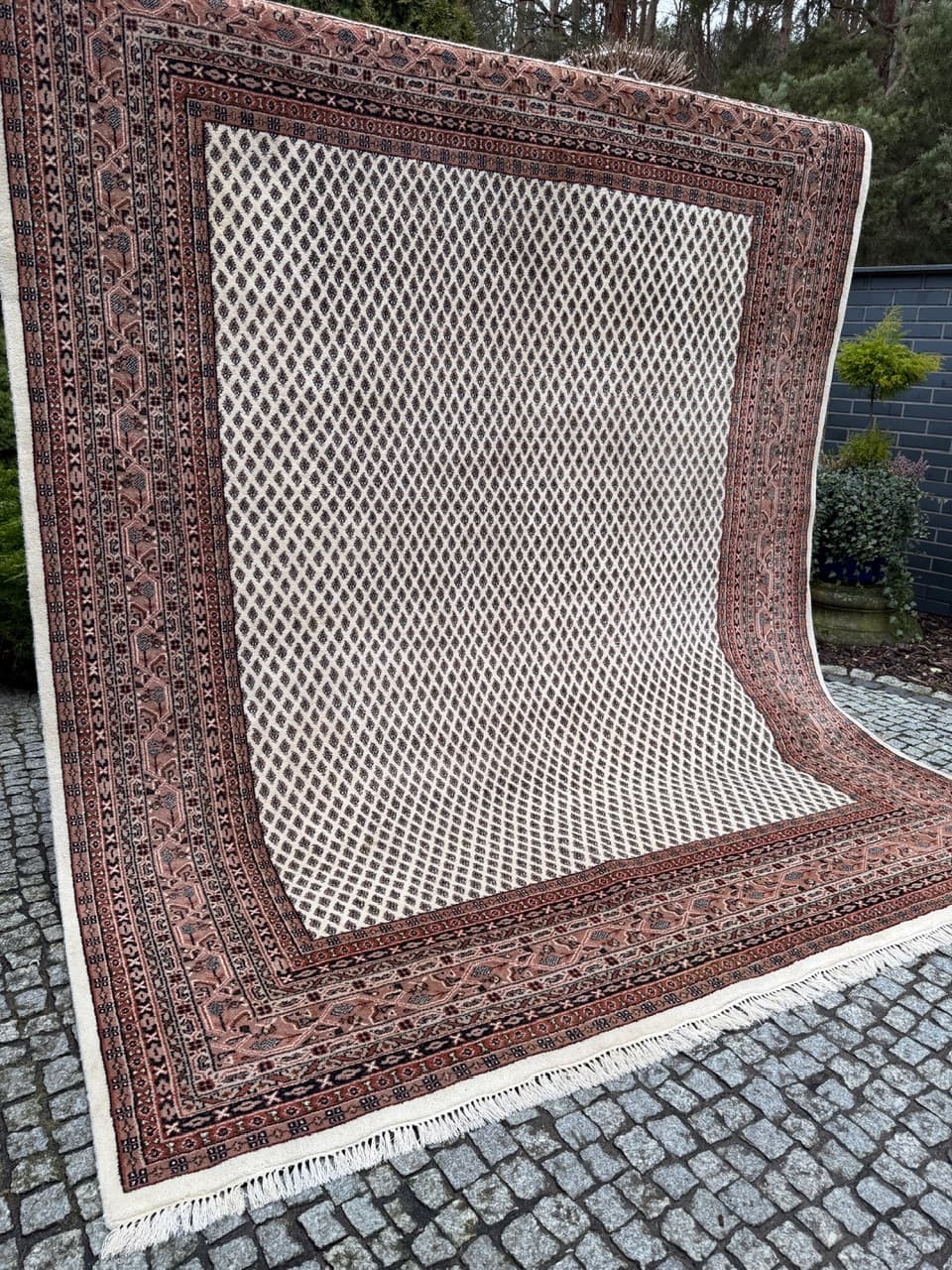 Dywan perski Indo Mir 315x250 cm, wełna beżowy, Indie - 226273