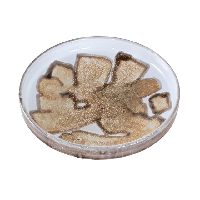 Misa, beżowa, ceramika, Dania, lata 60. - WYMIARY