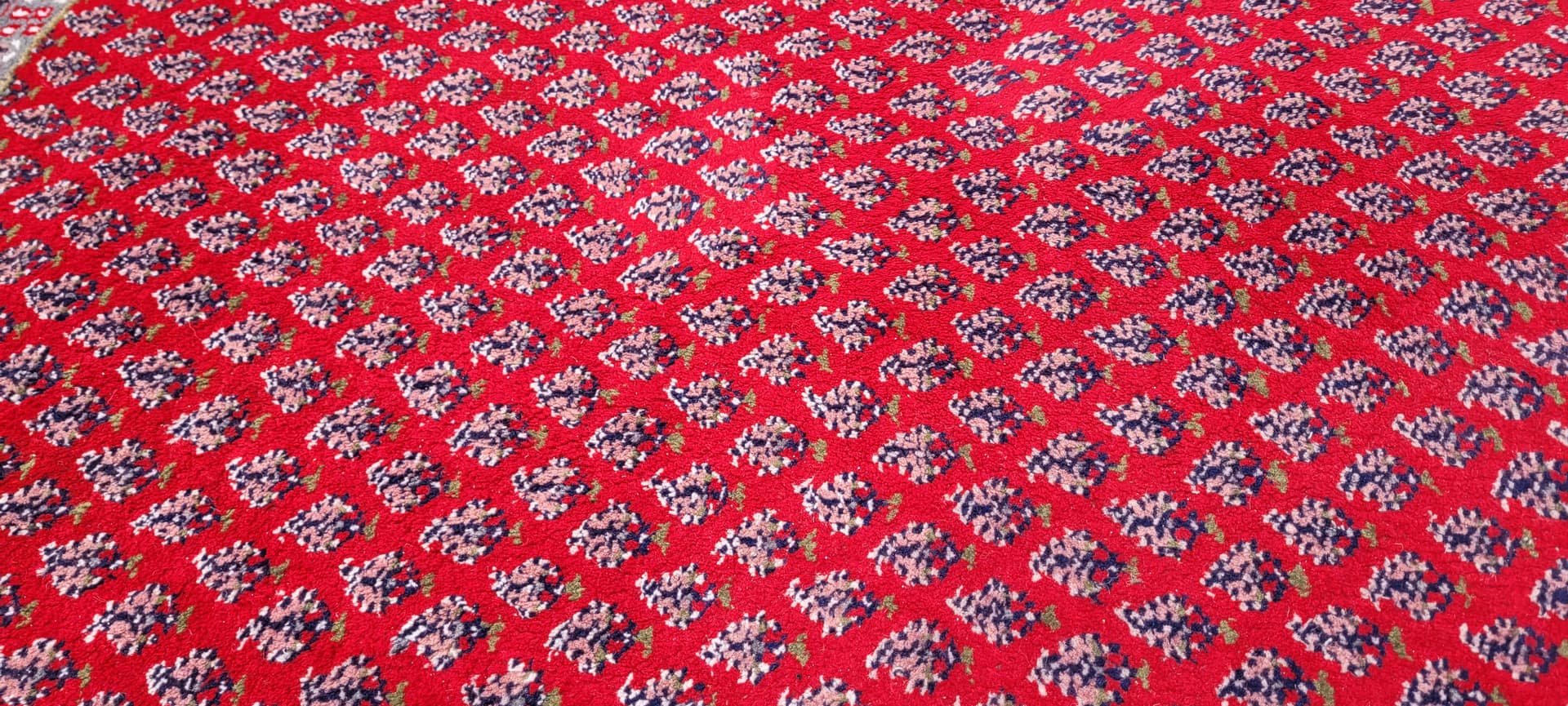 Dywan Indo Saroug Mir, okrągły 210x210 cm, multikolor, wełna, Indie - 243253