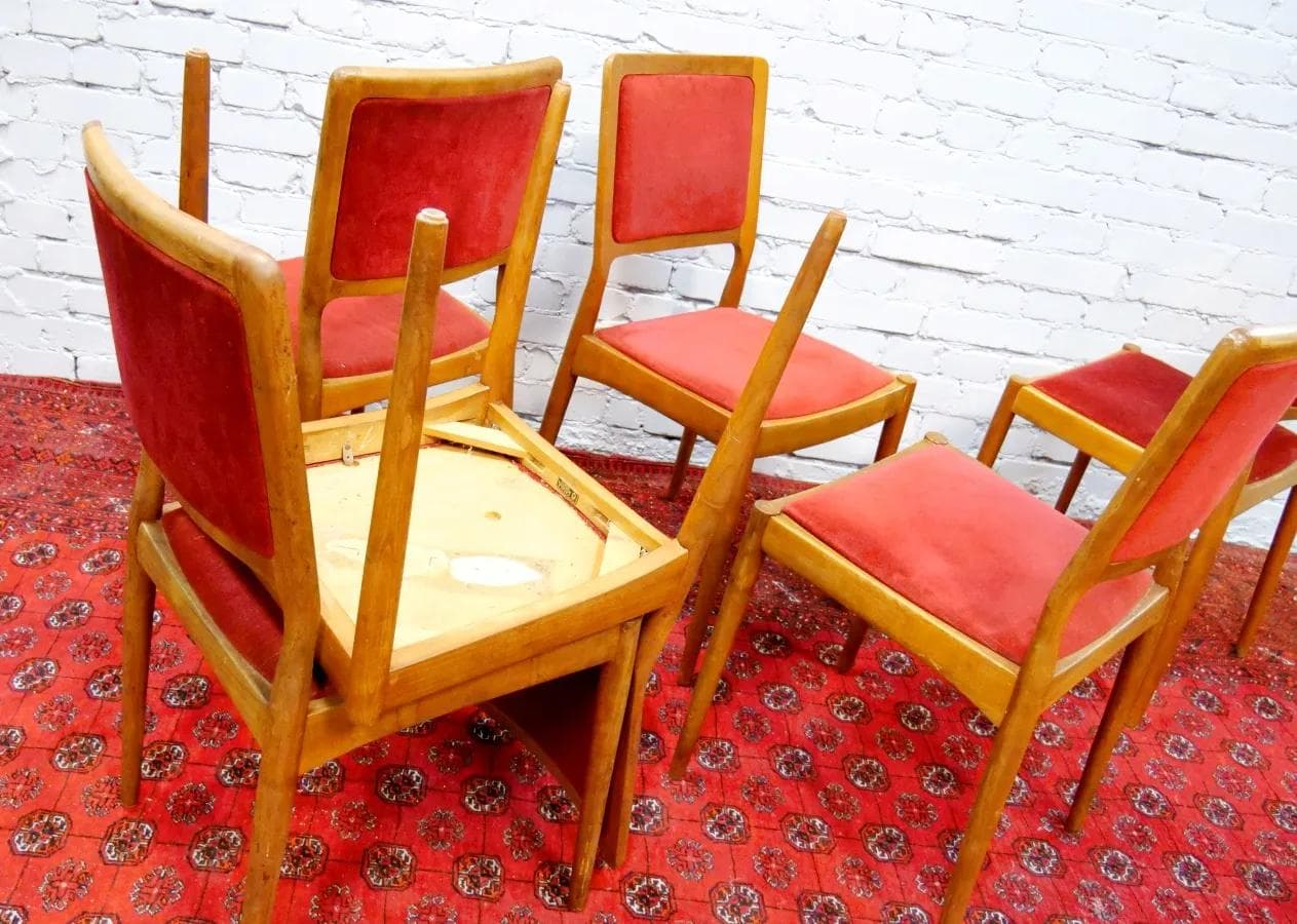 Komplet sześciu krzeseł, teak, velvet koralowy, Casala, Niemcy, lata 60. - 18877