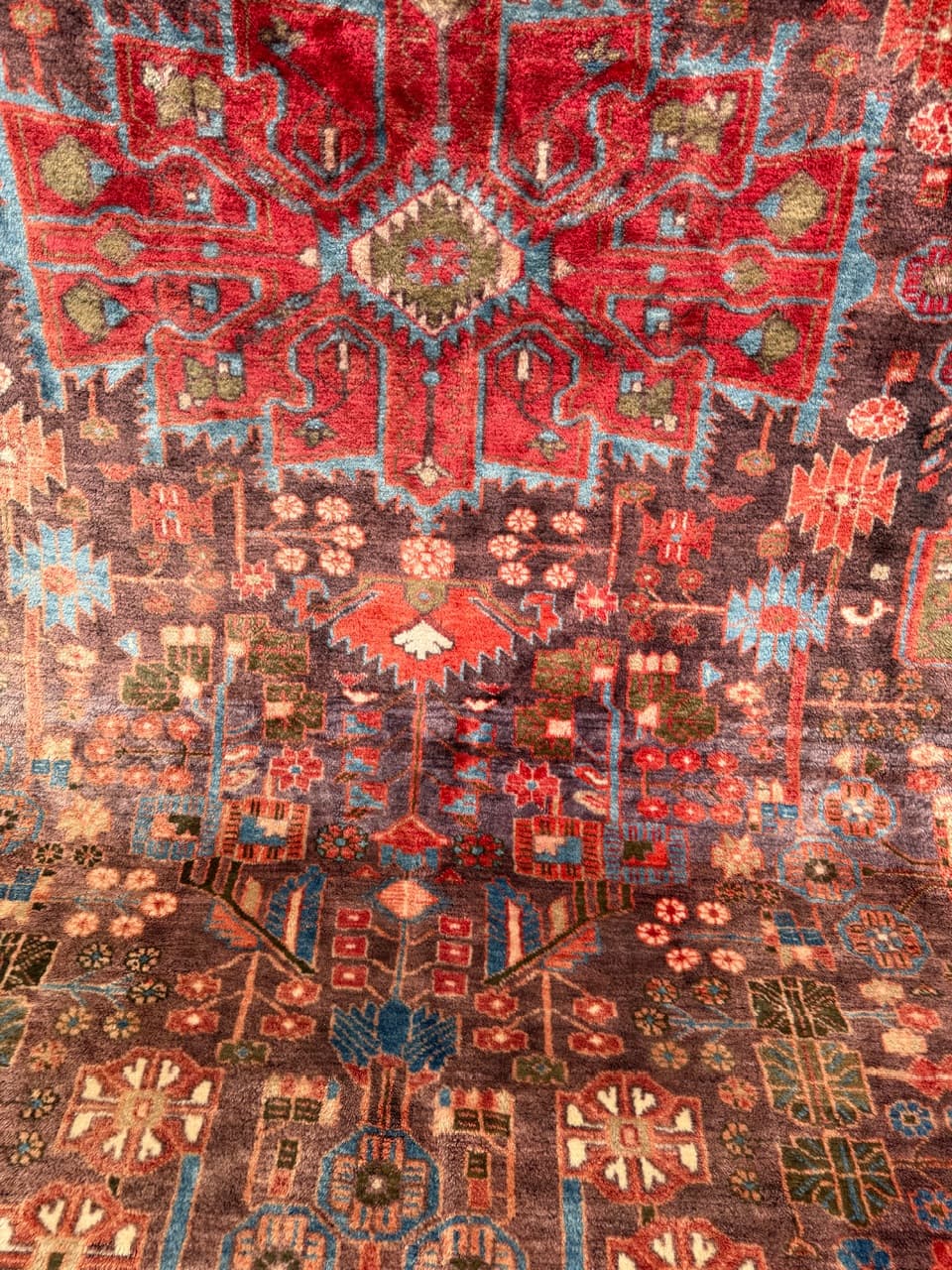 Dywan Hamadan 310x210 cm, czerwony, wełna, Iran - 260712