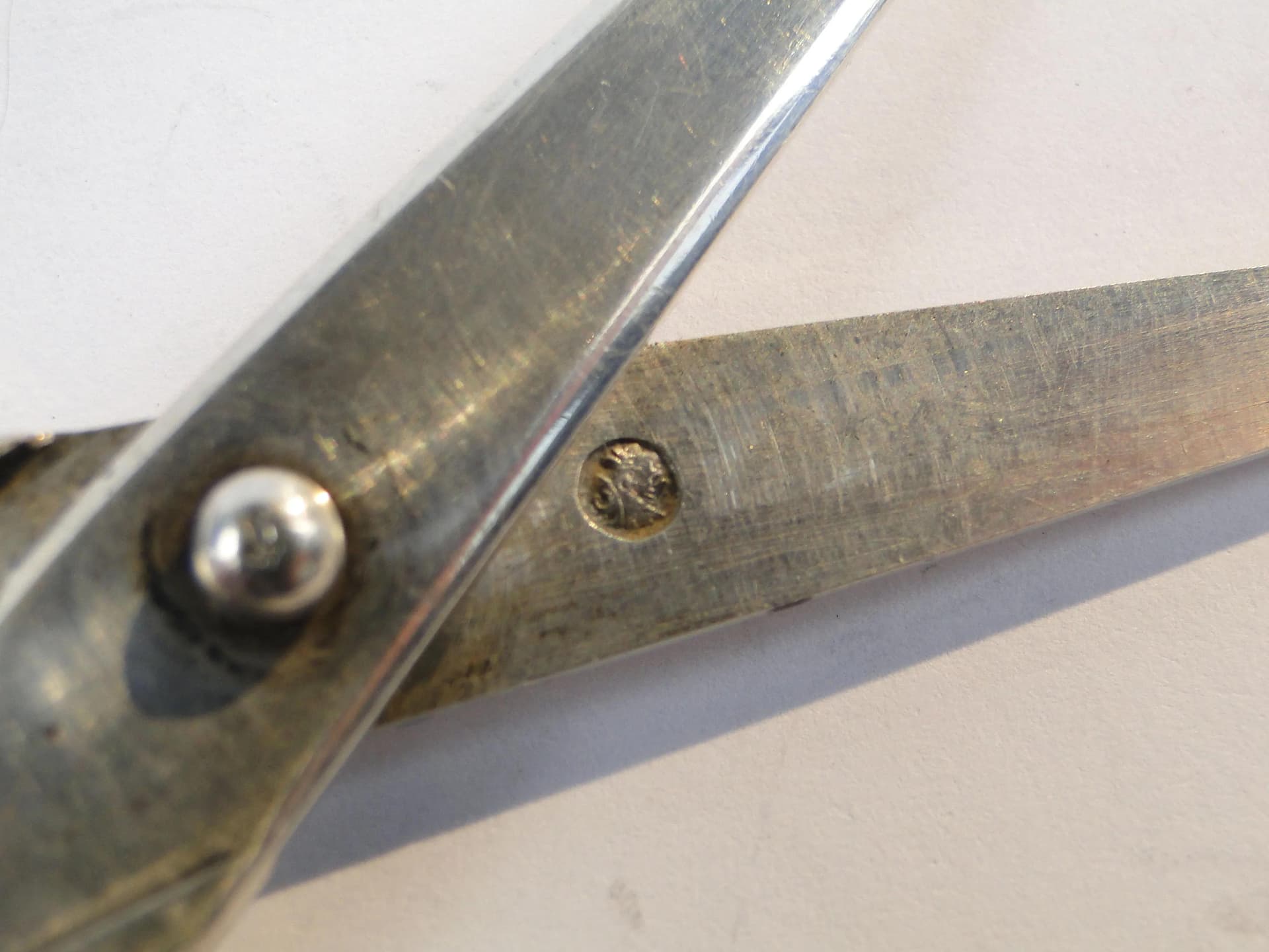 Table Scissors, Silver, Netherlands, 19th c. - 19629