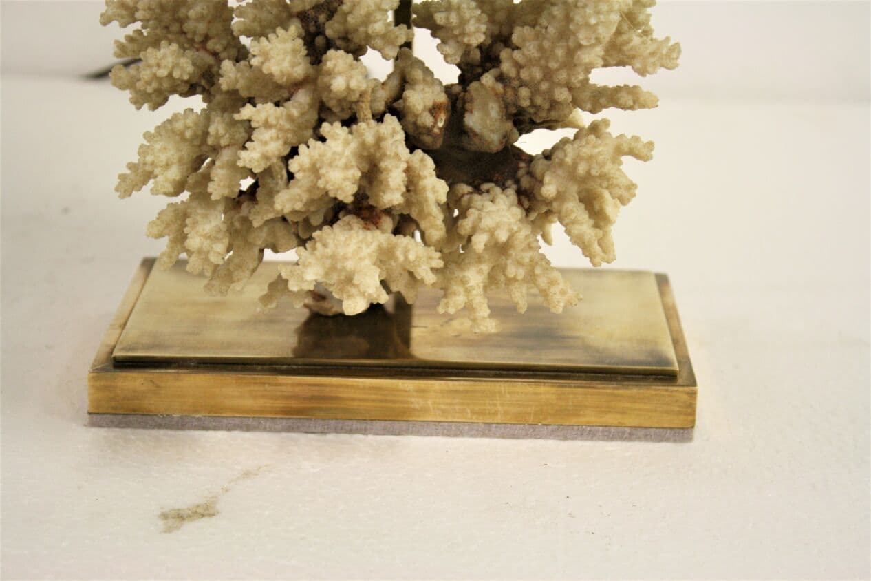 Lampa stołowa, koral, mosiądz złoty, Francja, lata 70. - 265403