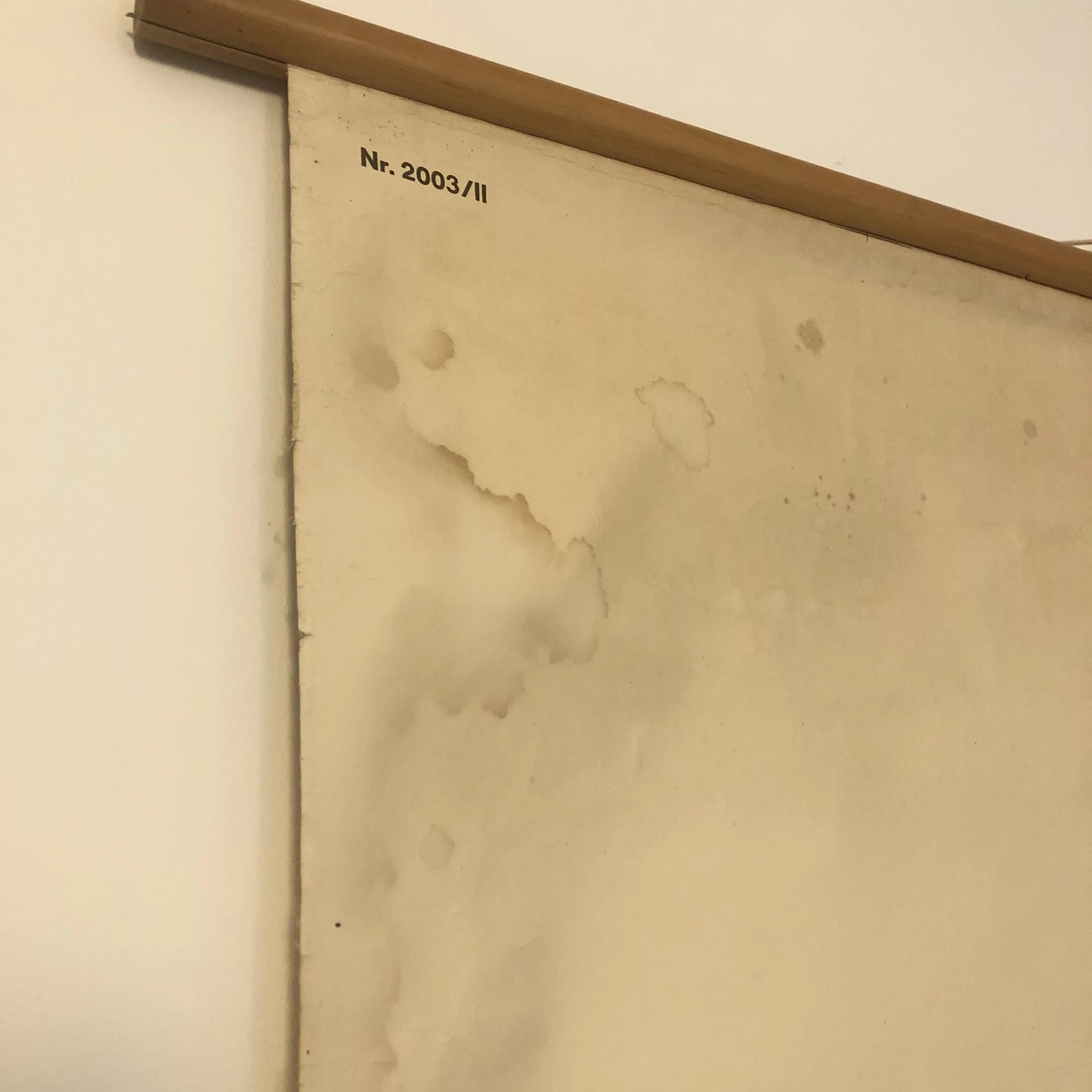 Kolorowa tablica edukacyjna układ mięśniowy, Niemcy, lata 70. - 20245