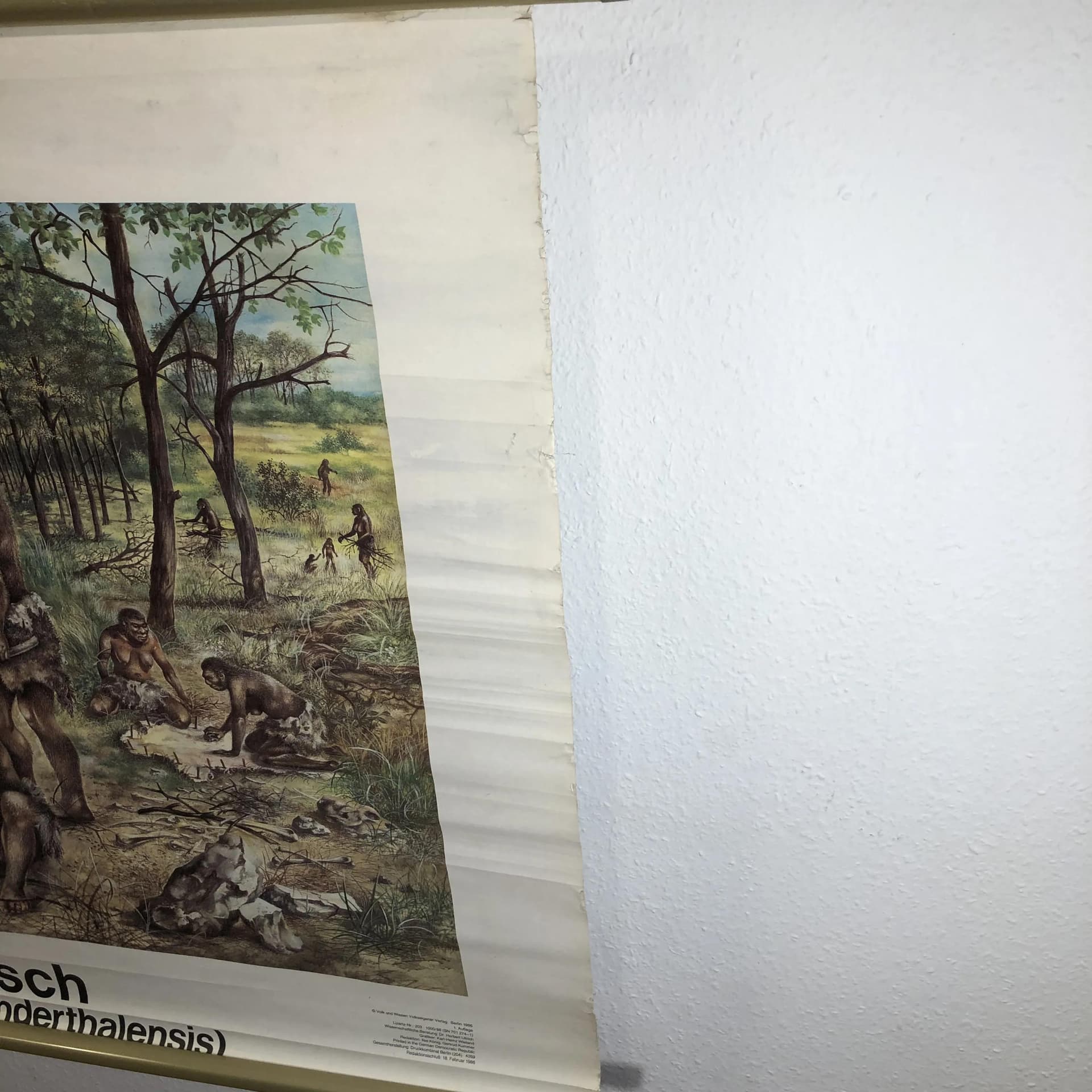 Tablica edukacyjna, Człowiek pierwotny, multicolor, papier, proj. K.-H. Wieland, Niemcy, lata 80. - 20751