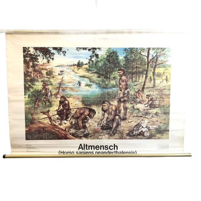 Tablica edukacyjna, Człowiek pierwotny, multicolor, papier, proj. K.-H. Wieland, Niemcy, lata 80. - WYMIARY
