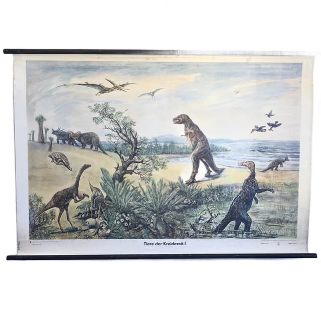 Tablica edukacyjna Okres Kreda, multikolor, papier, aut. H. Dost, Niemcy, lata 70. - WYMIARY