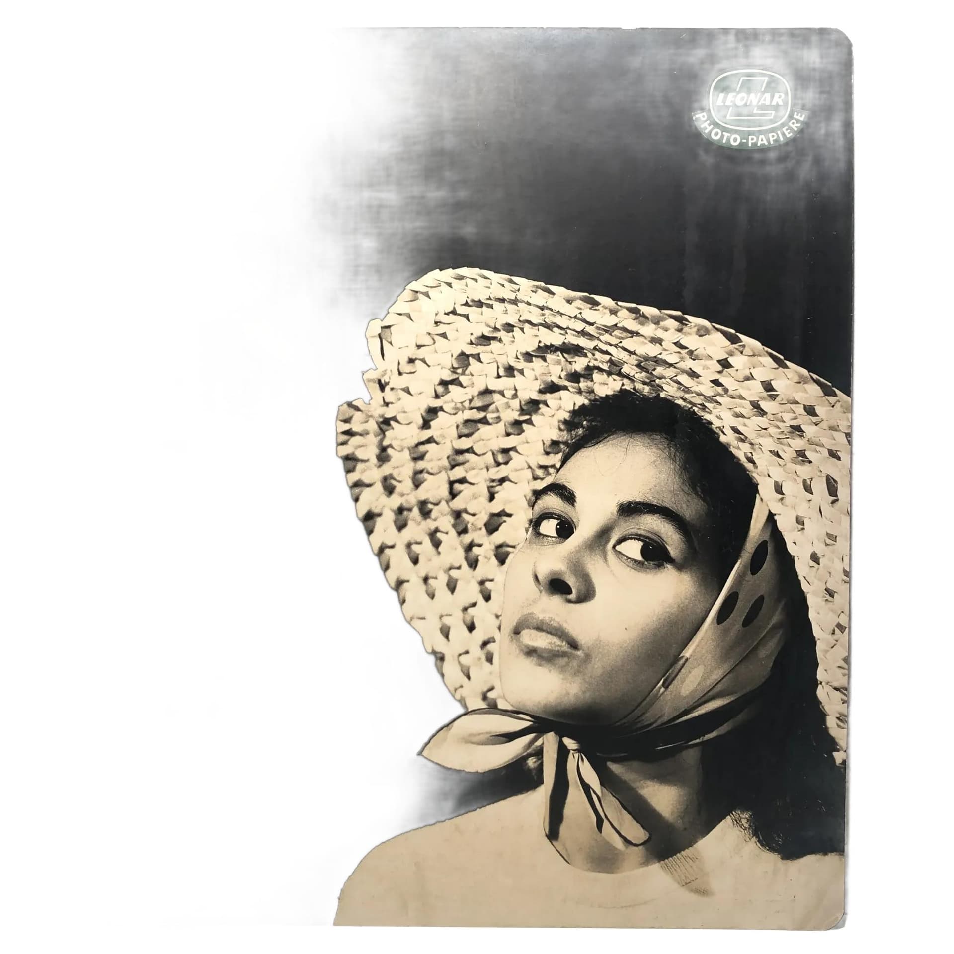 Advertising board Leonar Photo-Papiere, grey, wood, Germany, 1960s.