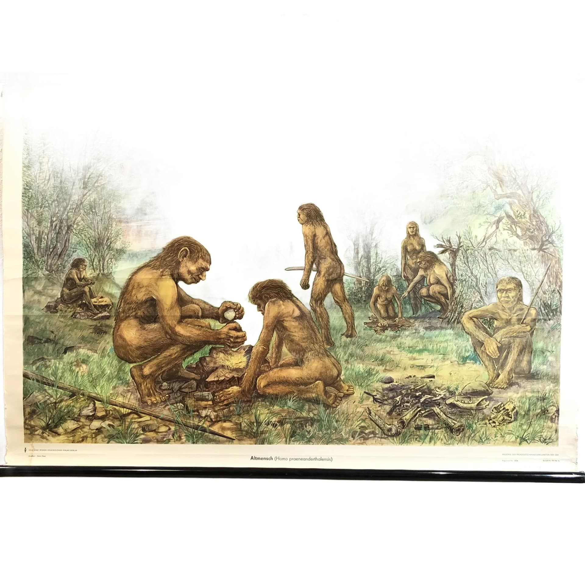 Educational wall chart, Prehistoric Man, multicolor, paper, Germany, 1970s.