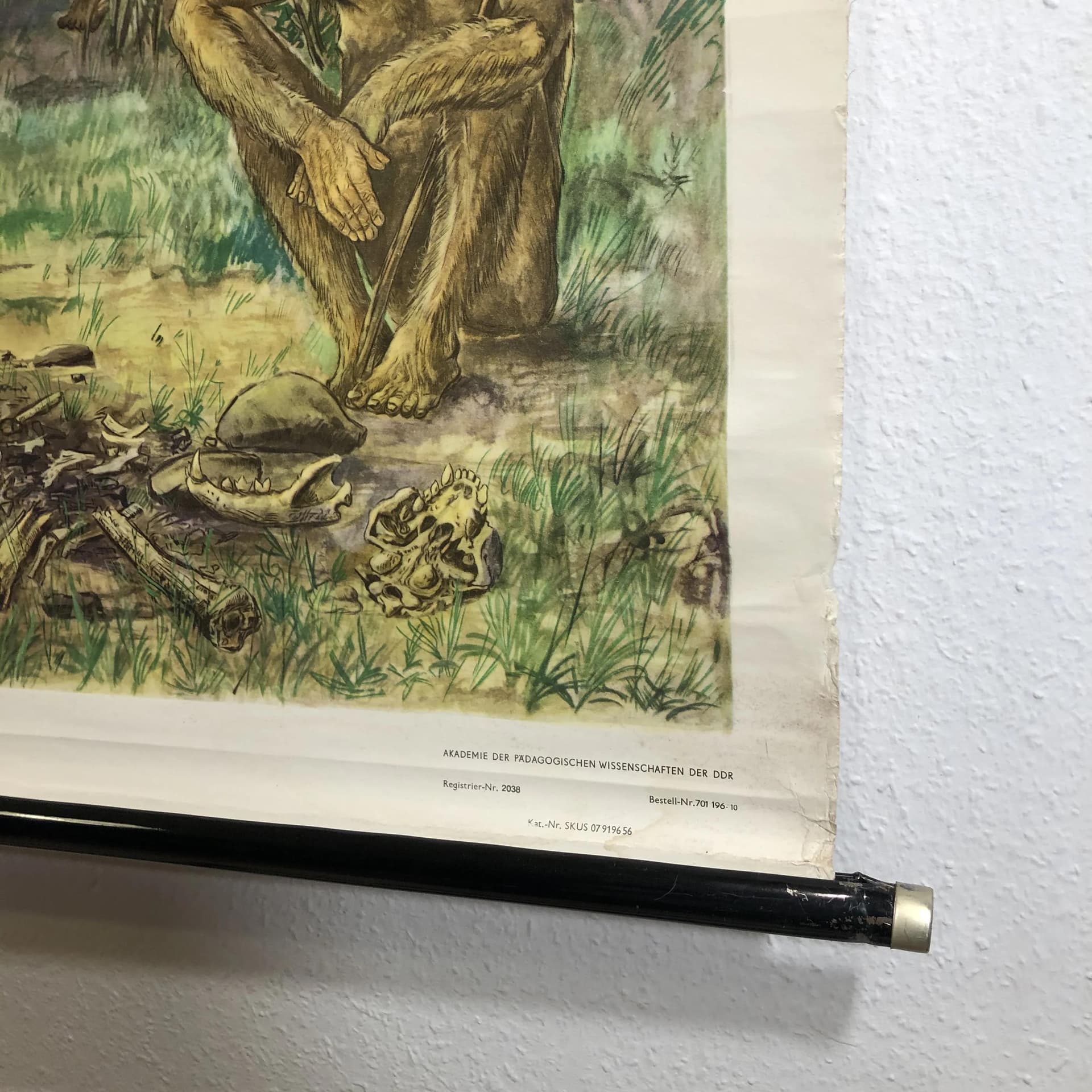 Educational wall chart, Prehistoric Man, multicolor, paper, Germany, 1970s. - 24871