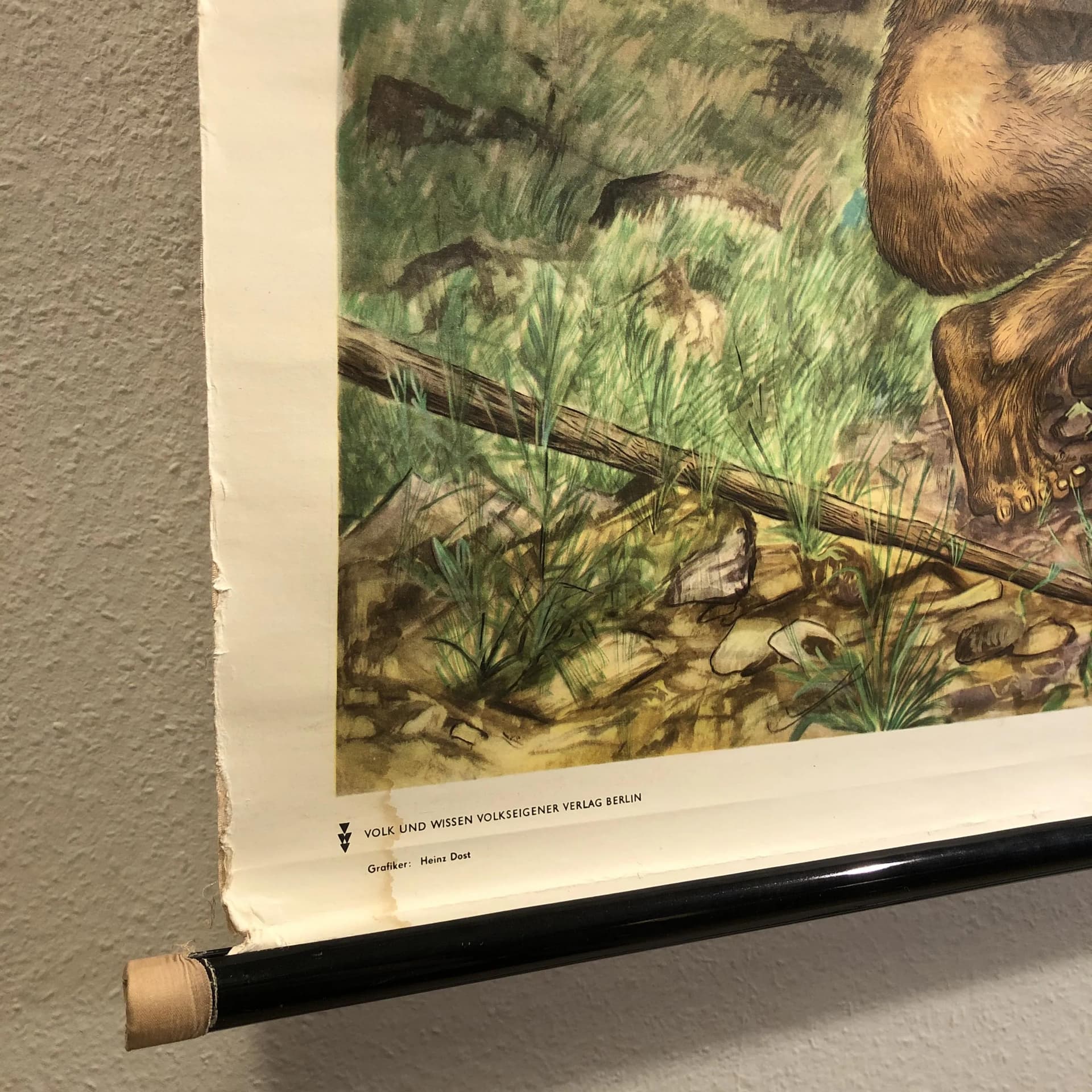 Educational wall chart, Prehistoric Man, multicolor, paper, Germany, 1970s. - 24873