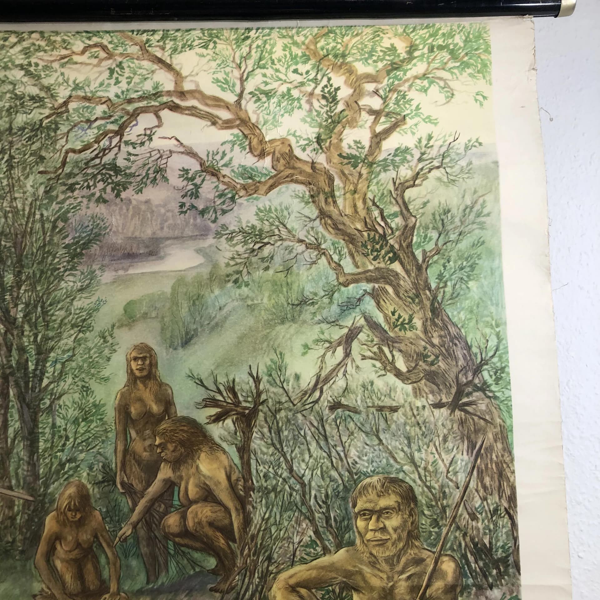 Educational wall chart, Prehistoric Man, multicolor, paper, Germany, 1970s. - 24874