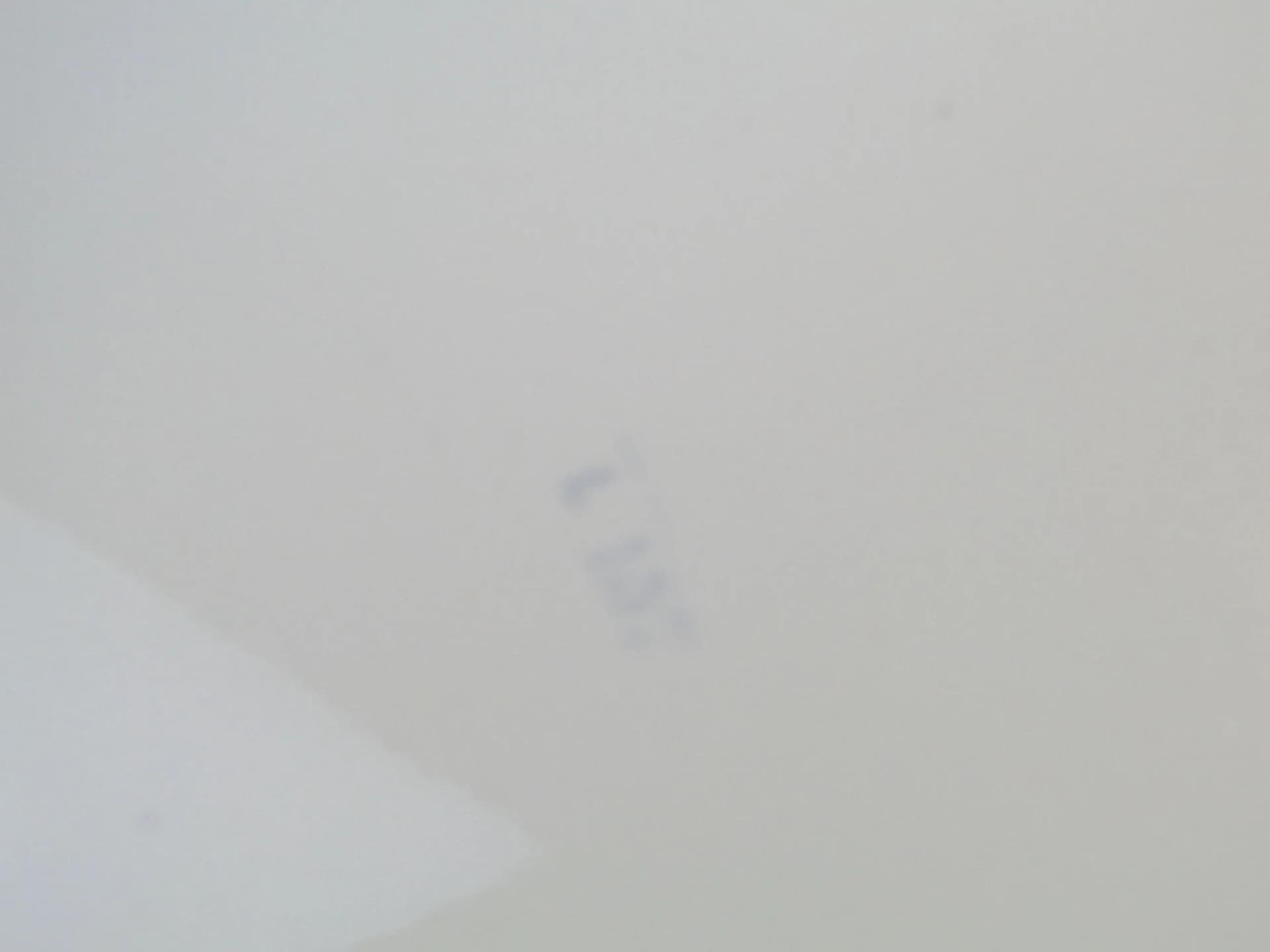 Brass and Ceramic Art Nouveau Tray, Austria, 1920s - 24965