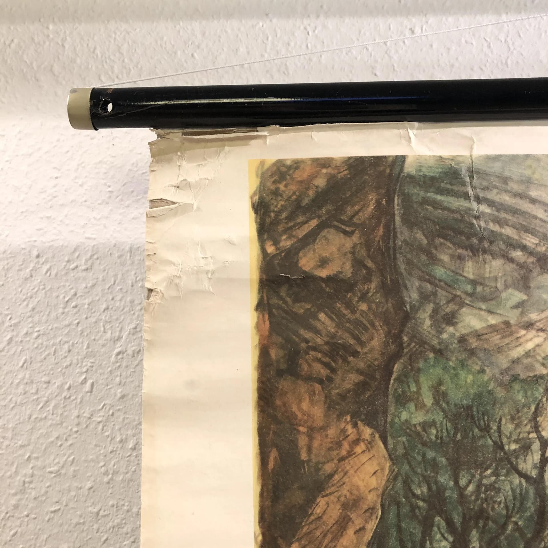 Tablica edukacyjna, Człowiek wyprostowany, multikolor, papier, Niemcy, lata 70., 116x75cm - 25168