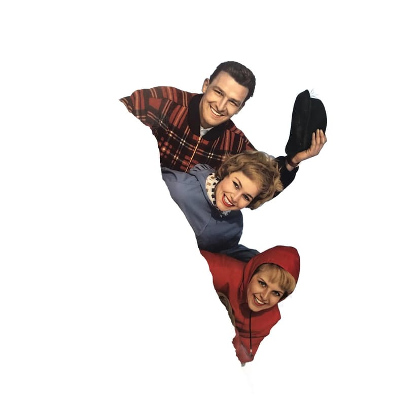 Reklama ścienna Agfacolor, multicolor, drewno, Agfa, Niemcy, lata 60.